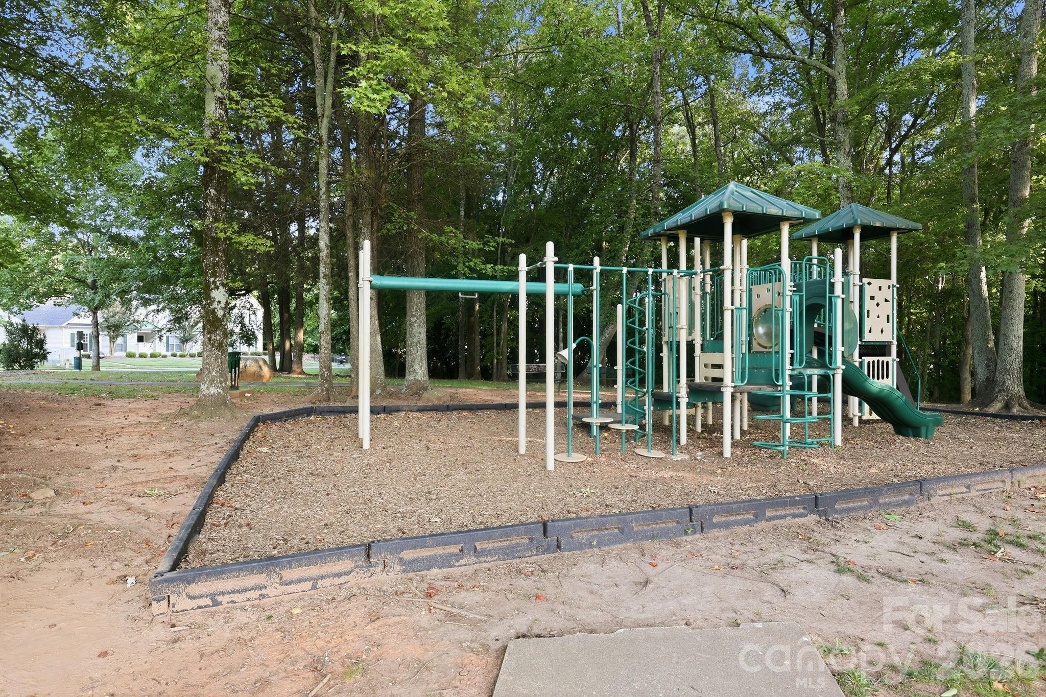 8411 Washoe Pine Lane — Charlotte