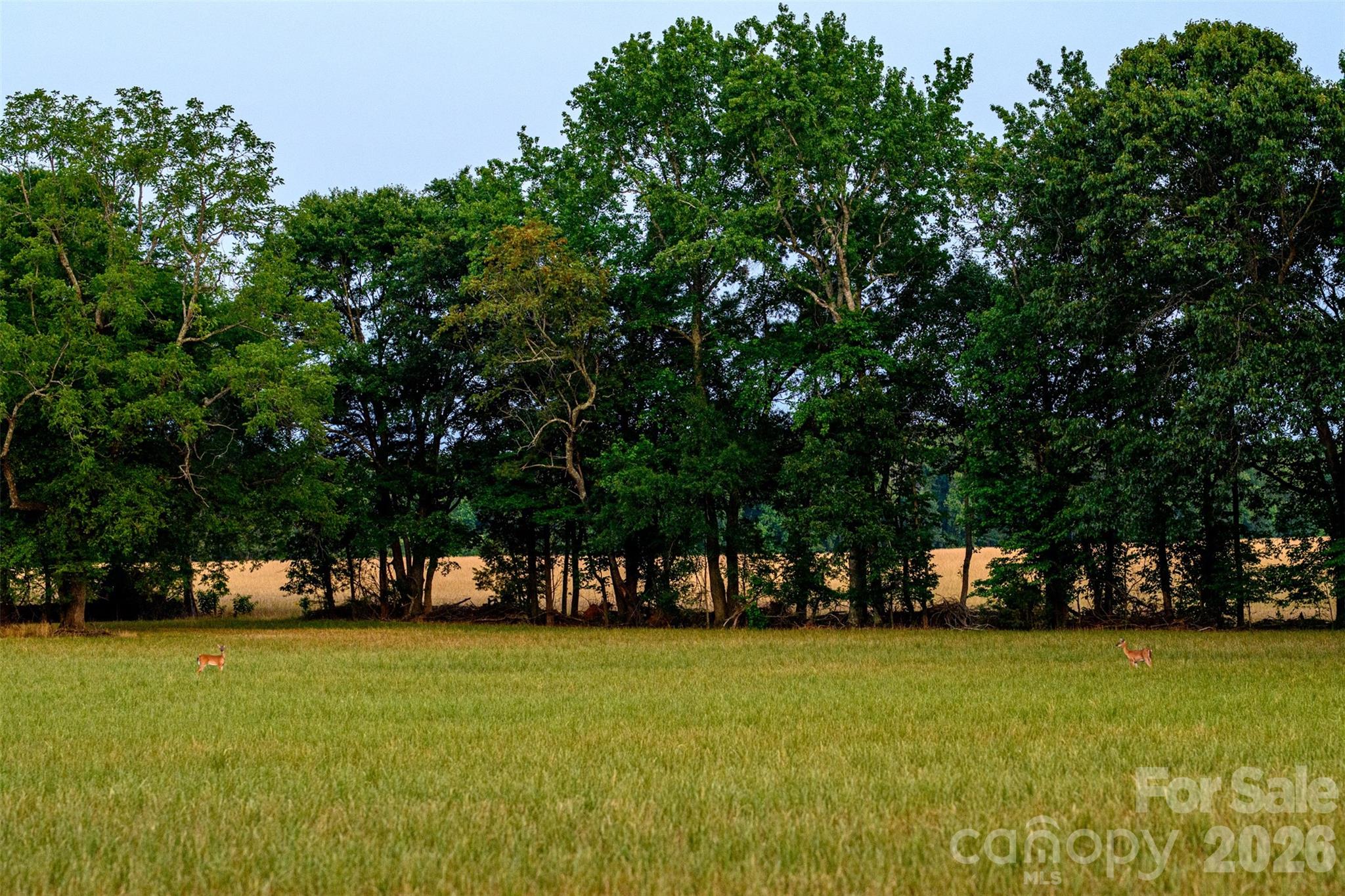 6917 Walnut Grove Church Road — Hurdle Mills