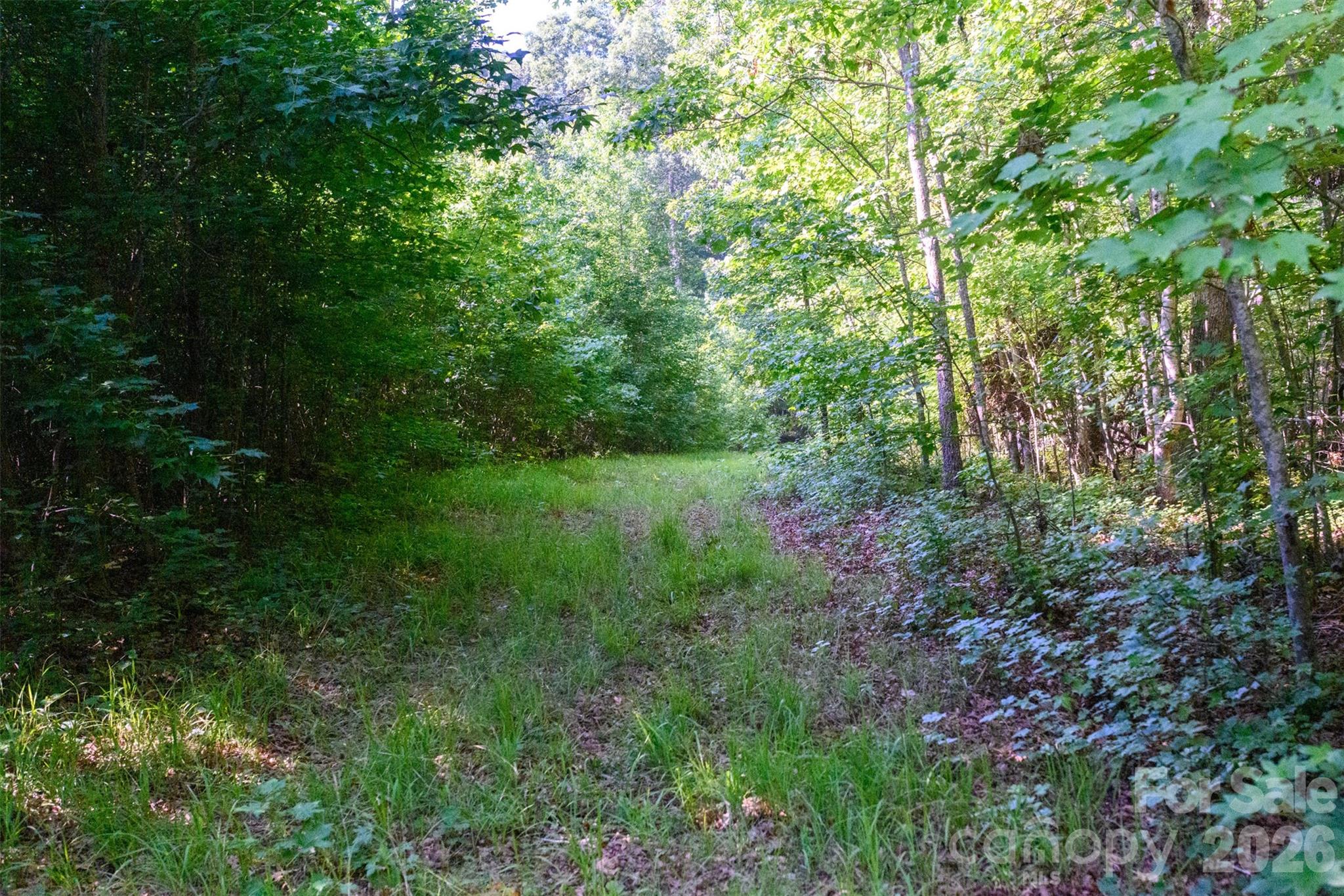 6917 Walnut Grove Church Road — Hurdle Mills