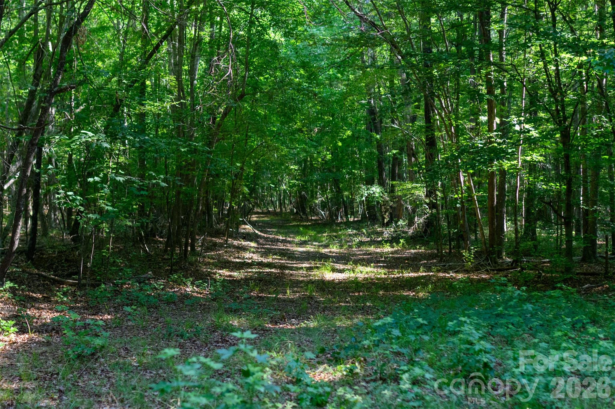 6917 Walnut Grove Church Road — Hurdle Mills