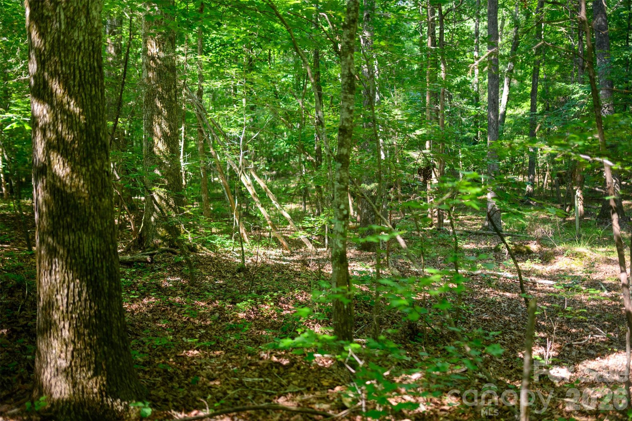 6917 Walnut Grove Church Road — Hurdle Mills