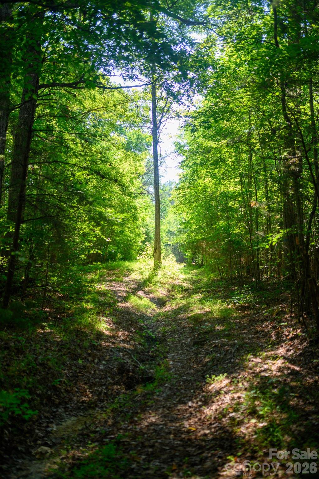 6917 Walnut Grove Church Road — Hurdle Mills