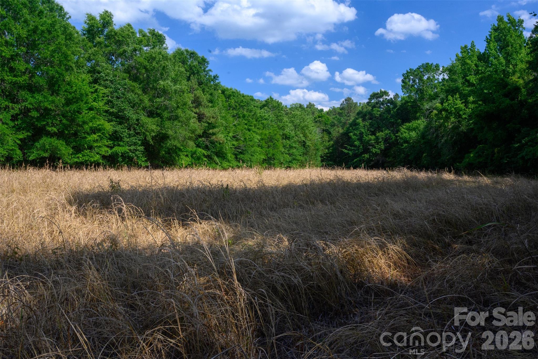 6917 Walnut Grove Church Road — Hurdle Mills