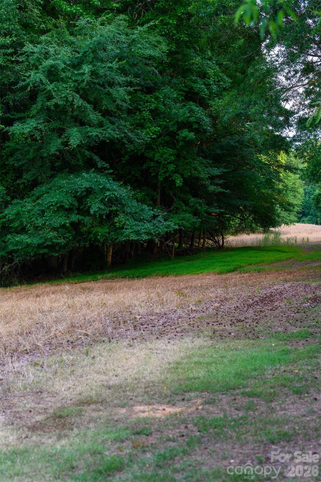 6917 Walnut Grove Church Road — Hurdle Mills