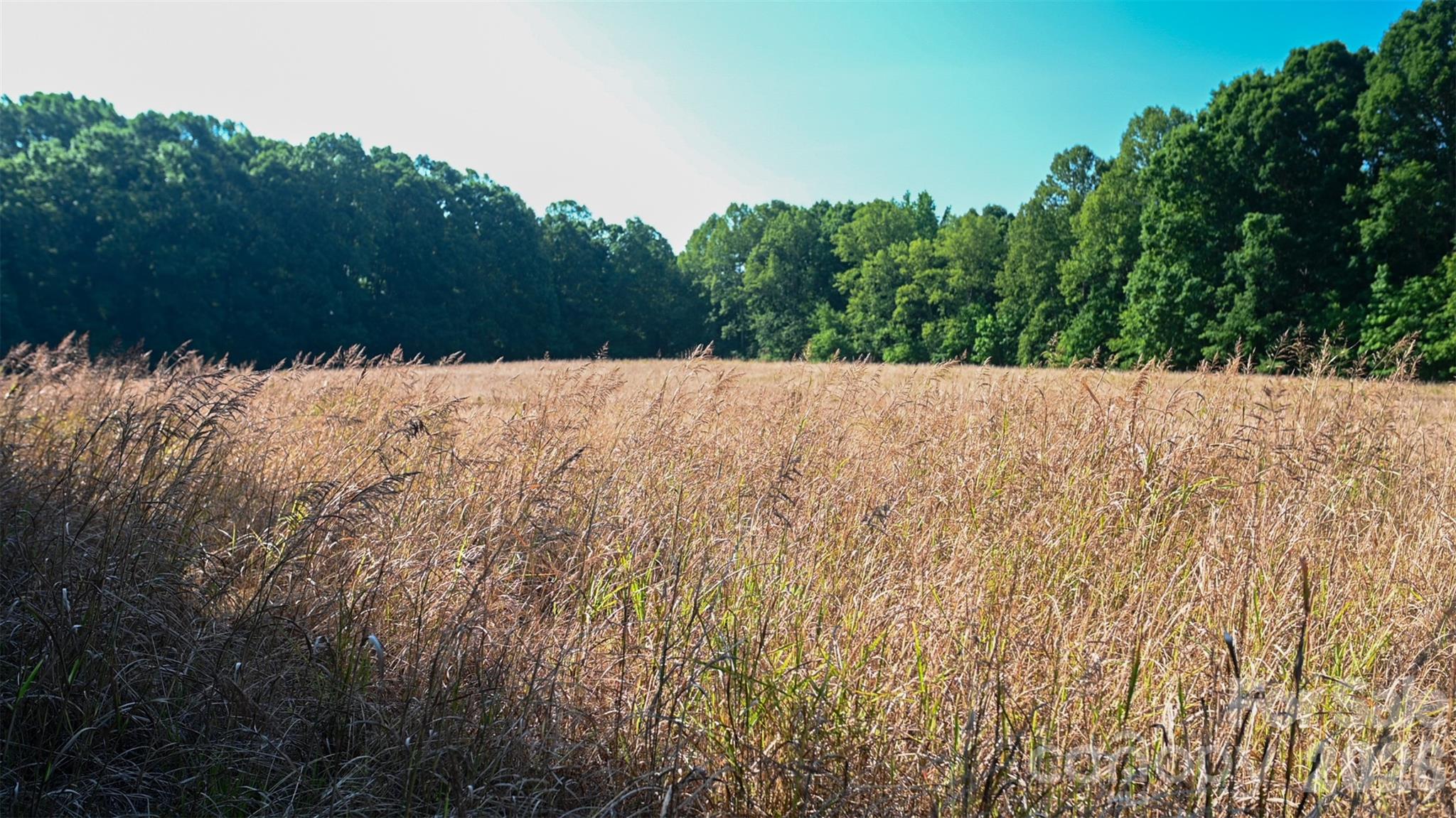 6917 Walnut Grove Church Road — Hurdle Mills