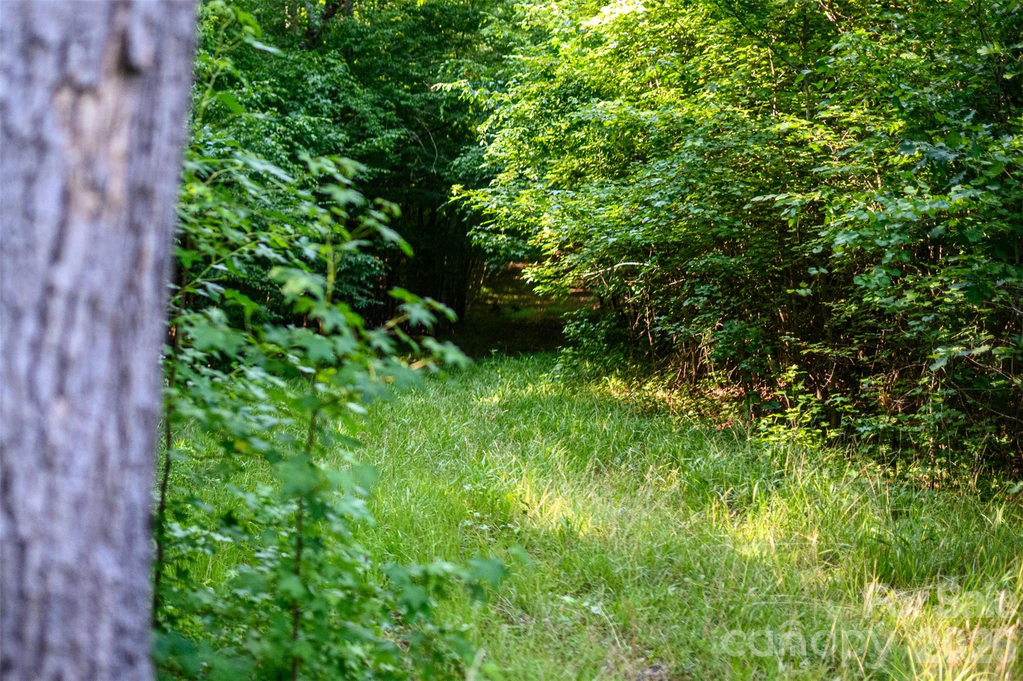 6917 Walnut Grove Church Road — Hurdle Mills