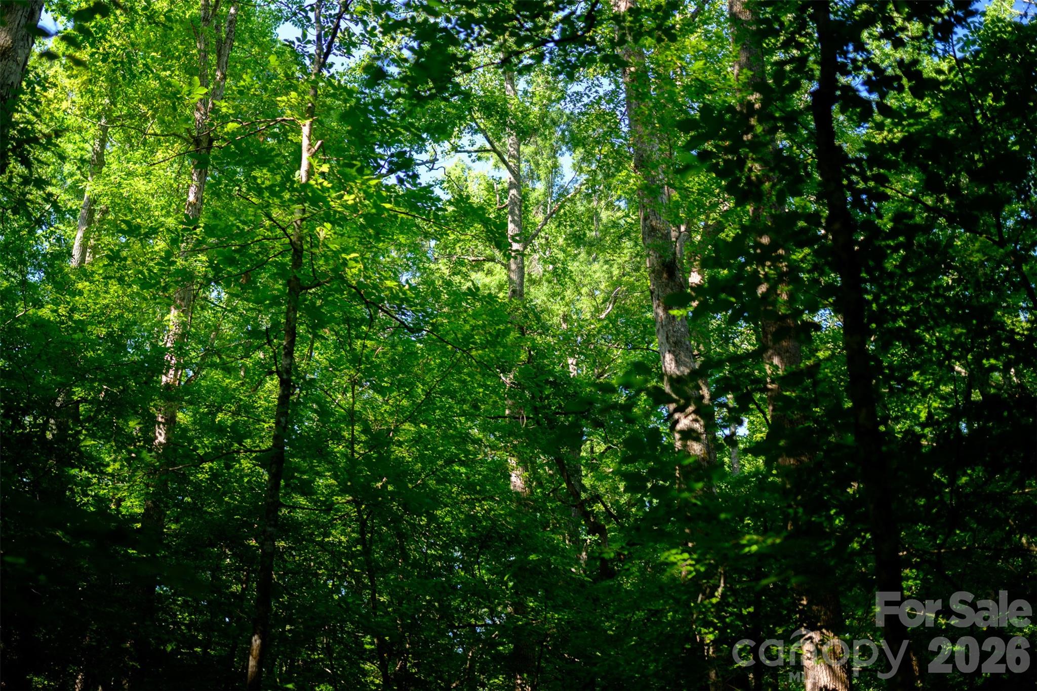 6917 Walnut Grove Church Road — Hurdle Mills
