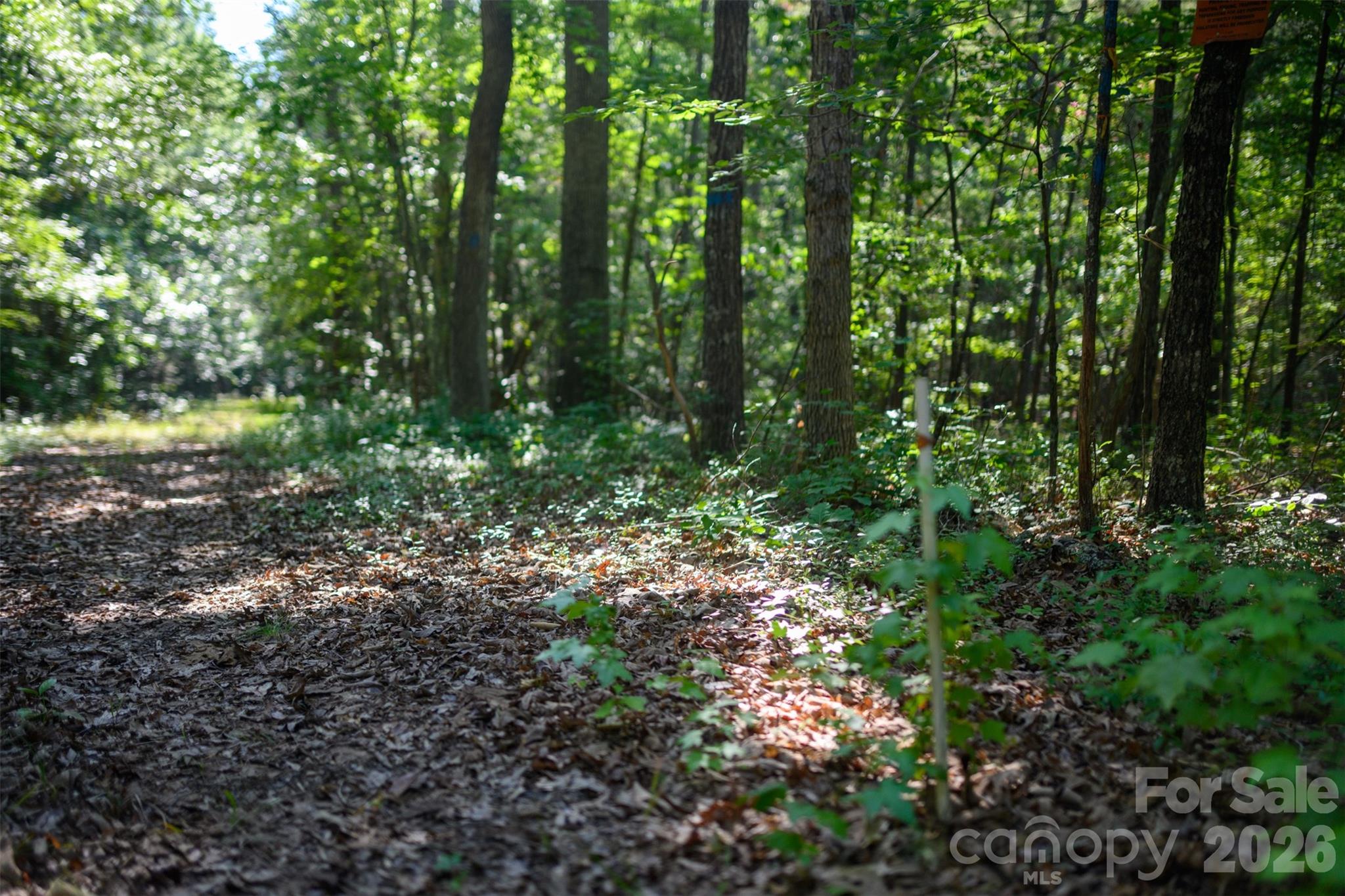 6917 Walnut Grove Church Road — Hurdle Mills