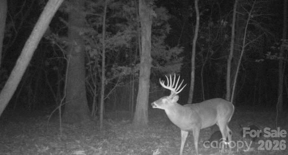6917 Walnut Grove Church Road — Hurdle Mills