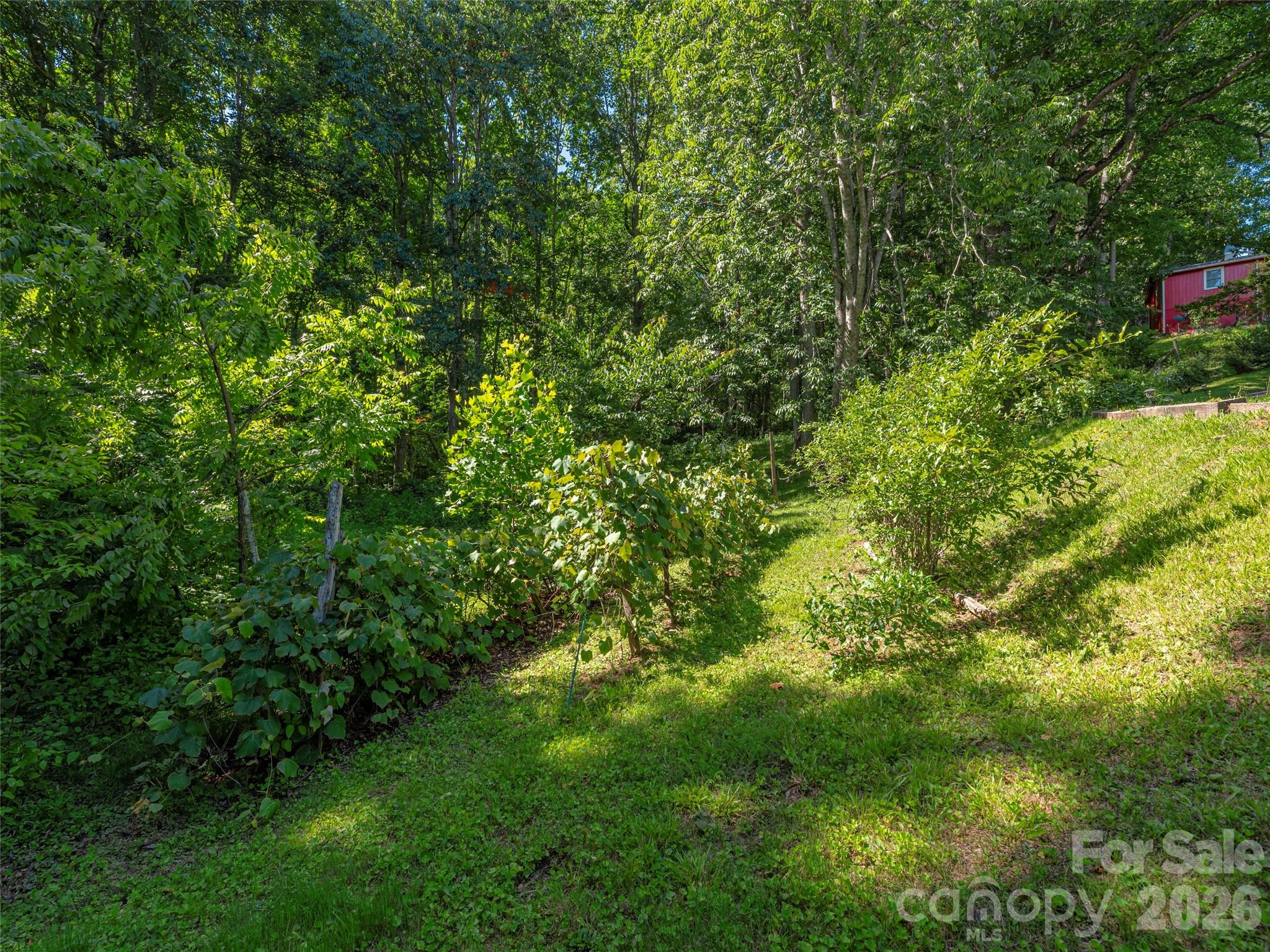 1575 Red Maple Drive — Waynesville