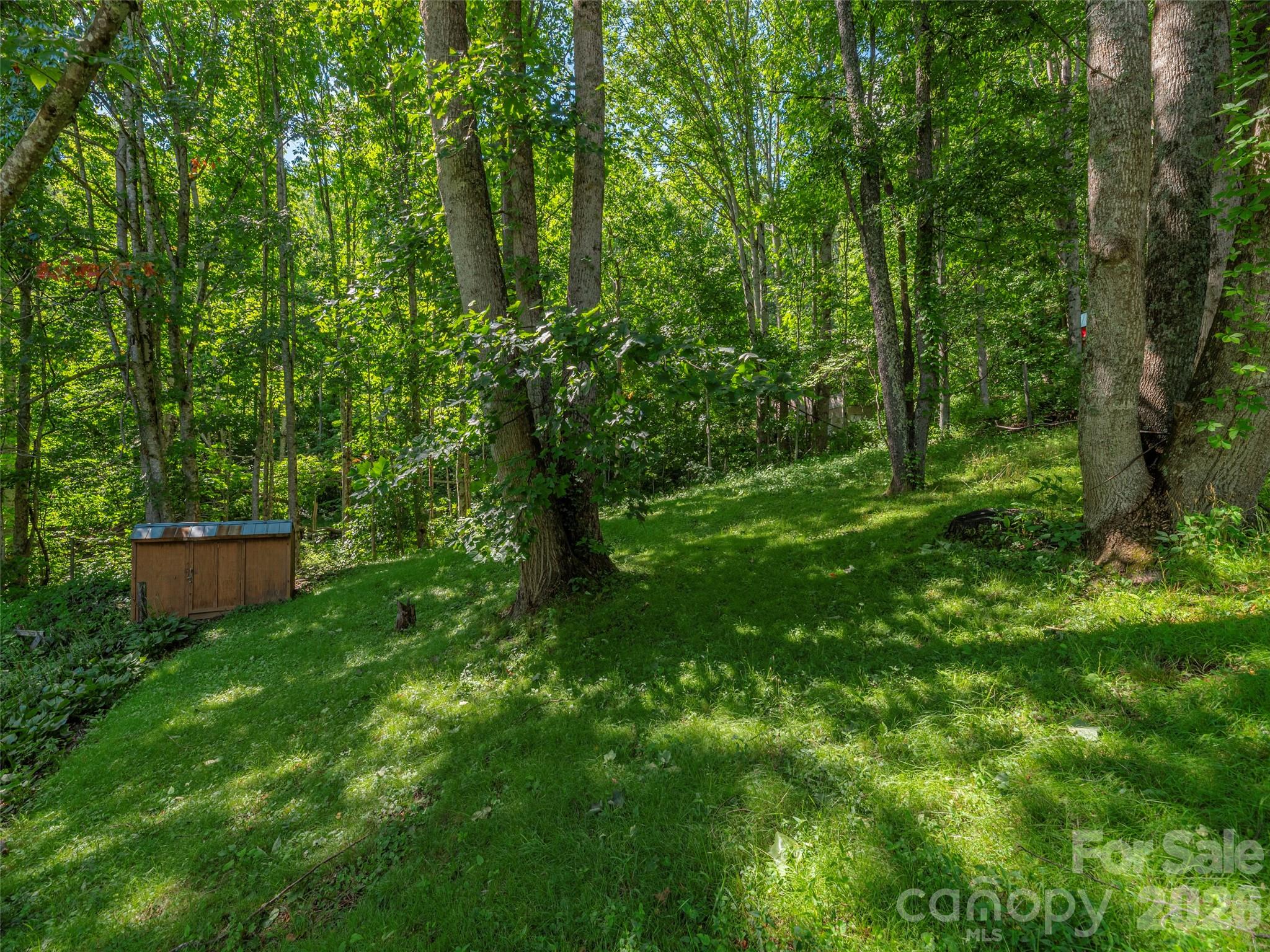 1575 Red Maple Drive — Waynesville