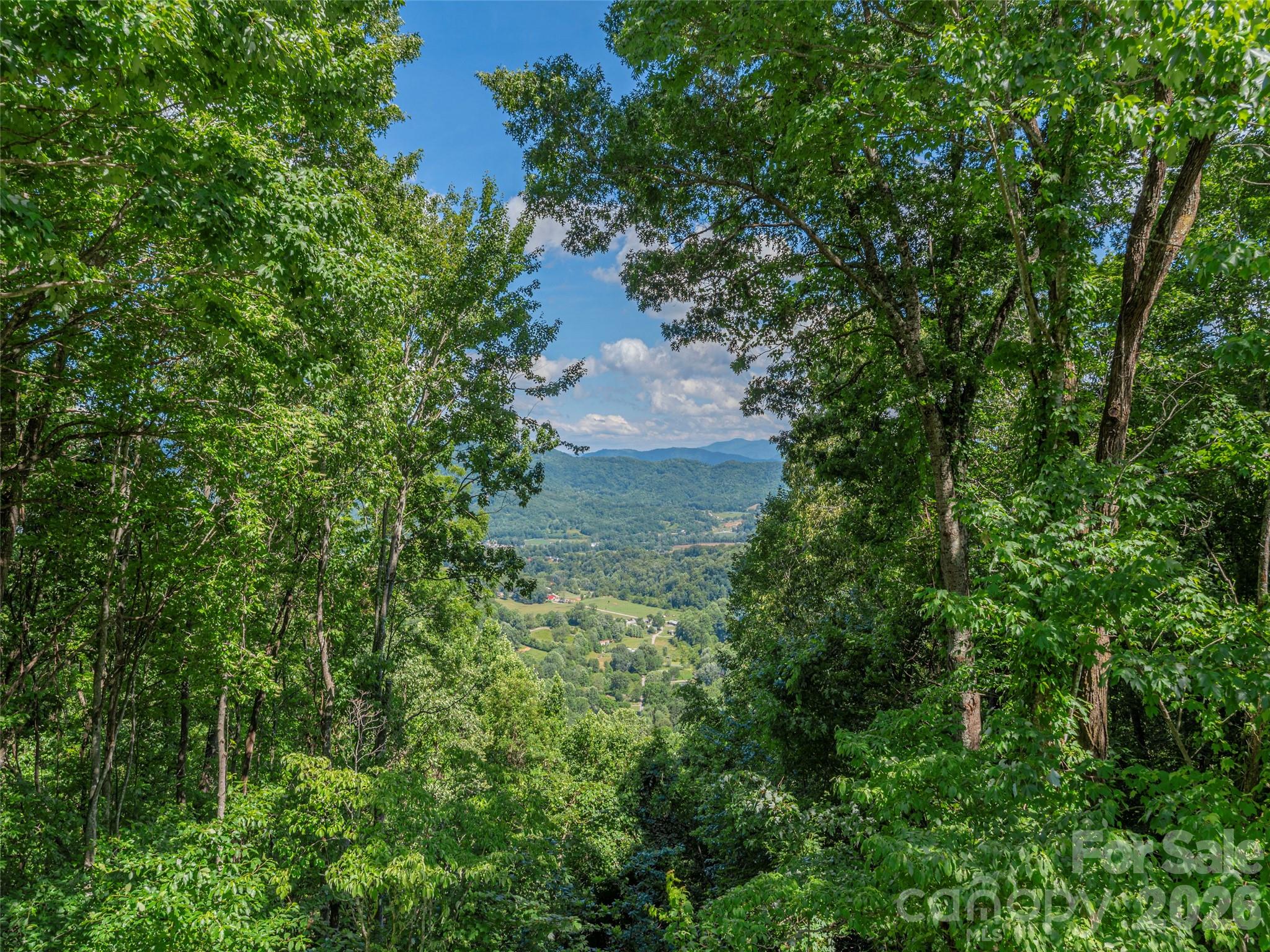 1575 Red Maple Drive — Waynesville