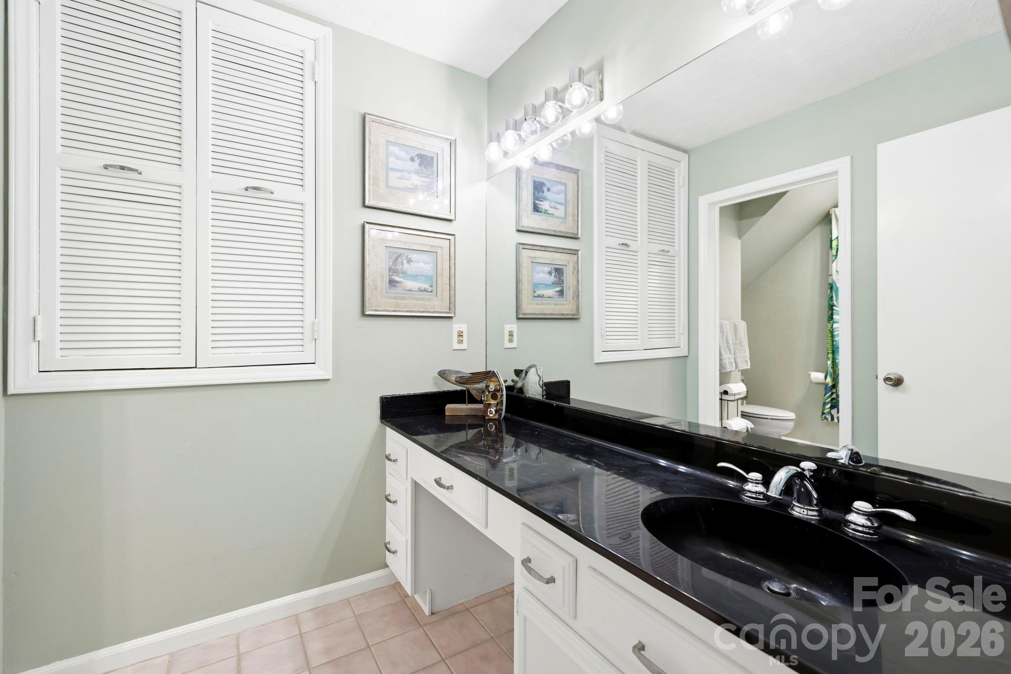 16 Audubon Drive — Asheville