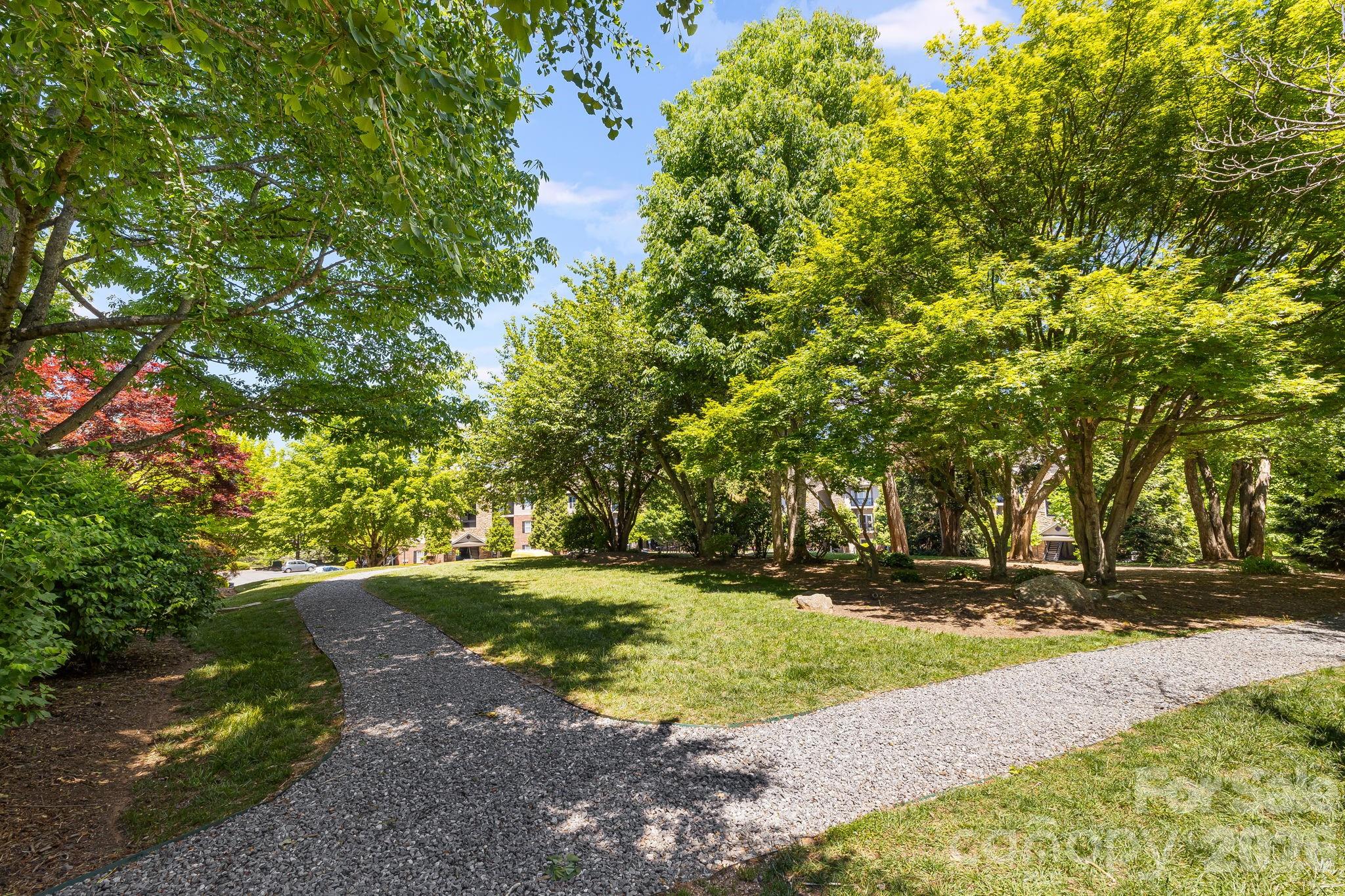 111 Appeldoorn Circle — Asheville