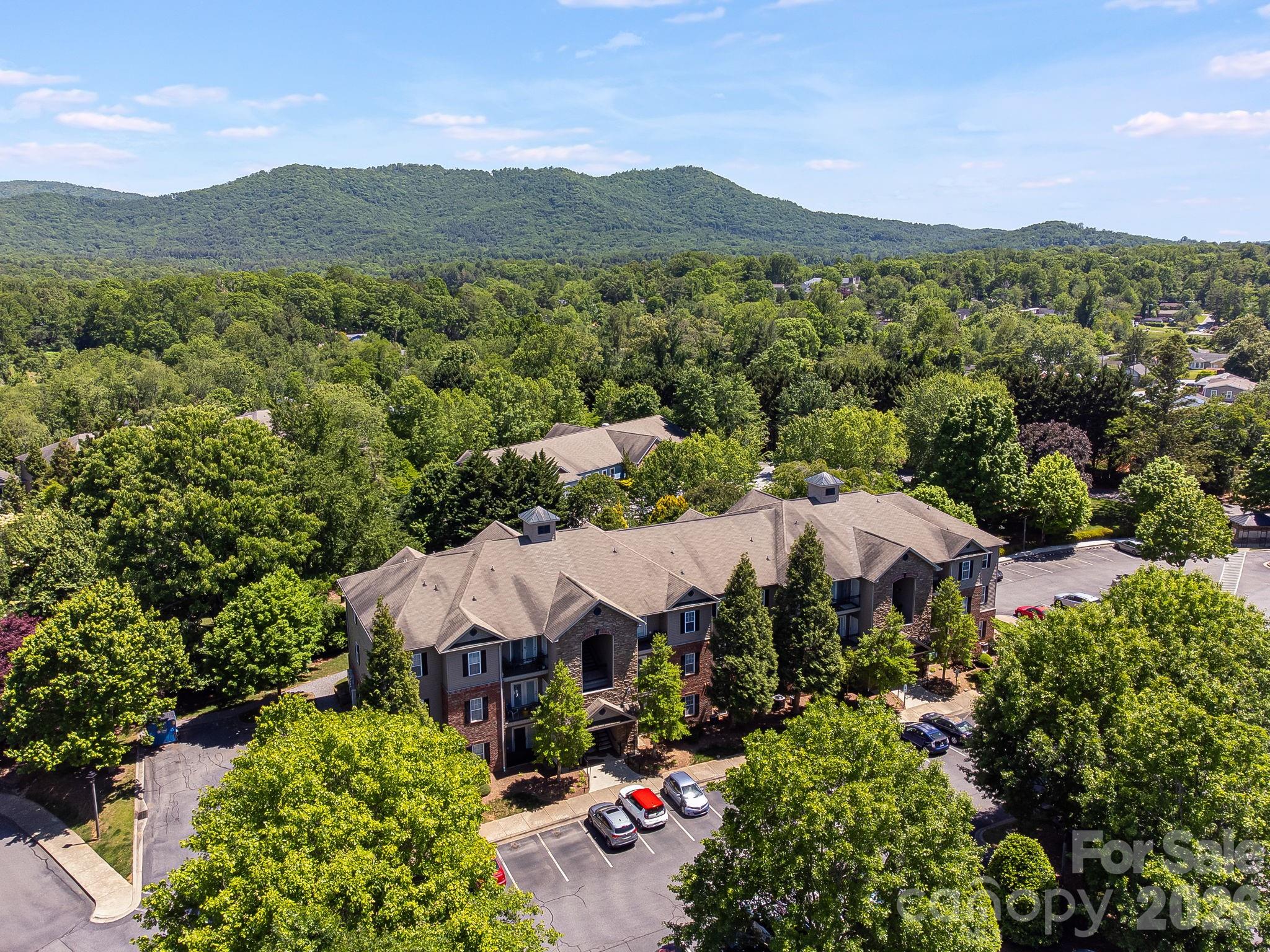 111 Appeldoorn Circle — Asheville