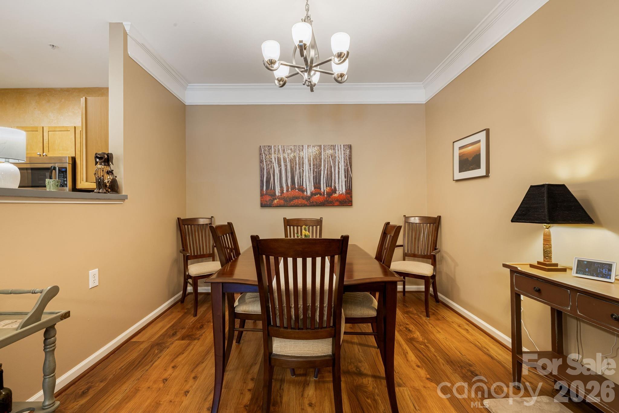 111 Appeldoorn Circle — Asheville