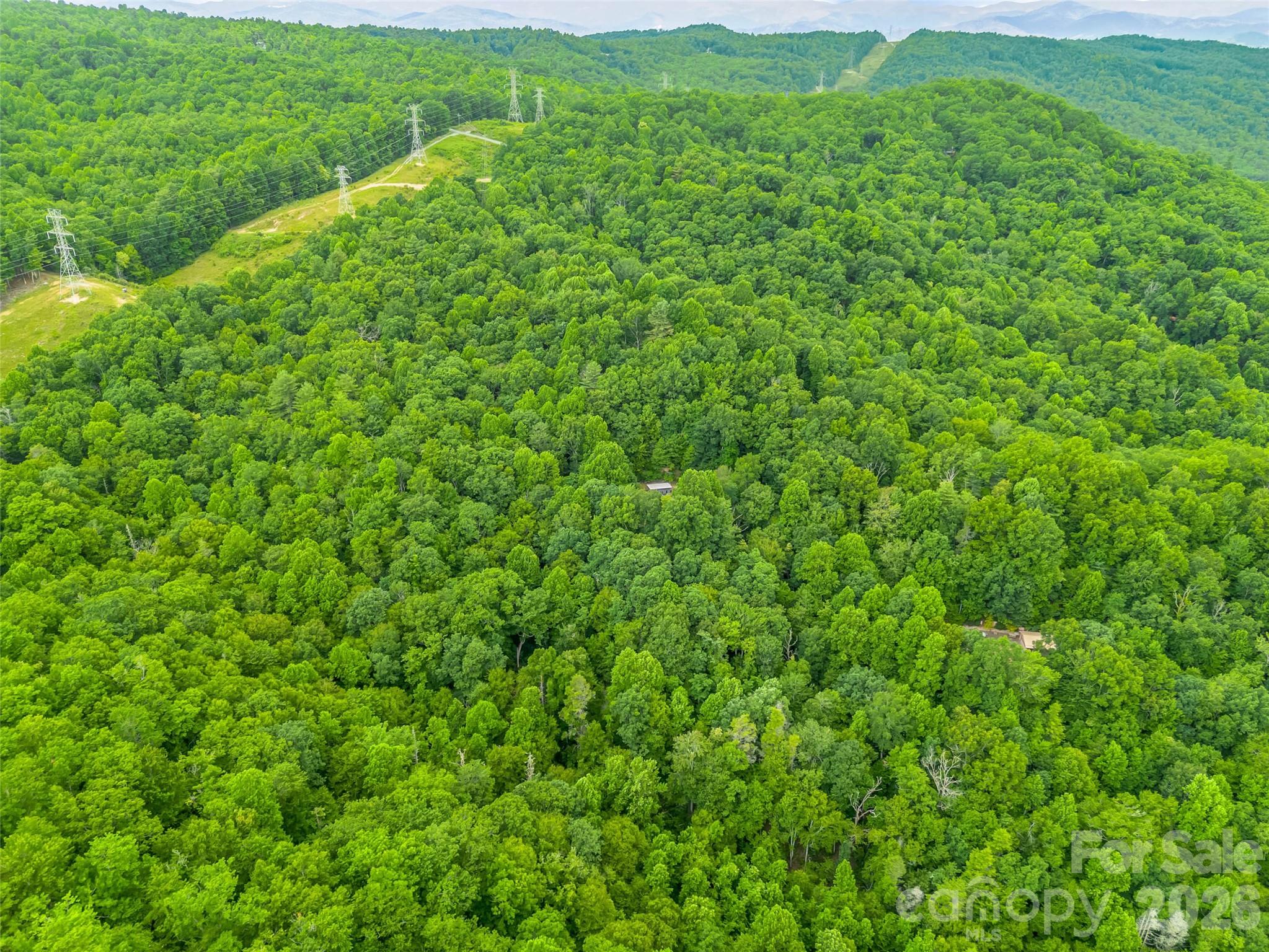 707 Cascade Trail — Pisgah Forest