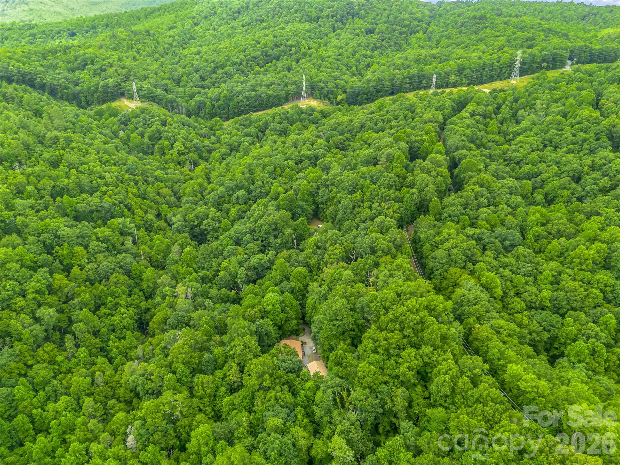 707 Cascade Trail — Pisgah Forest