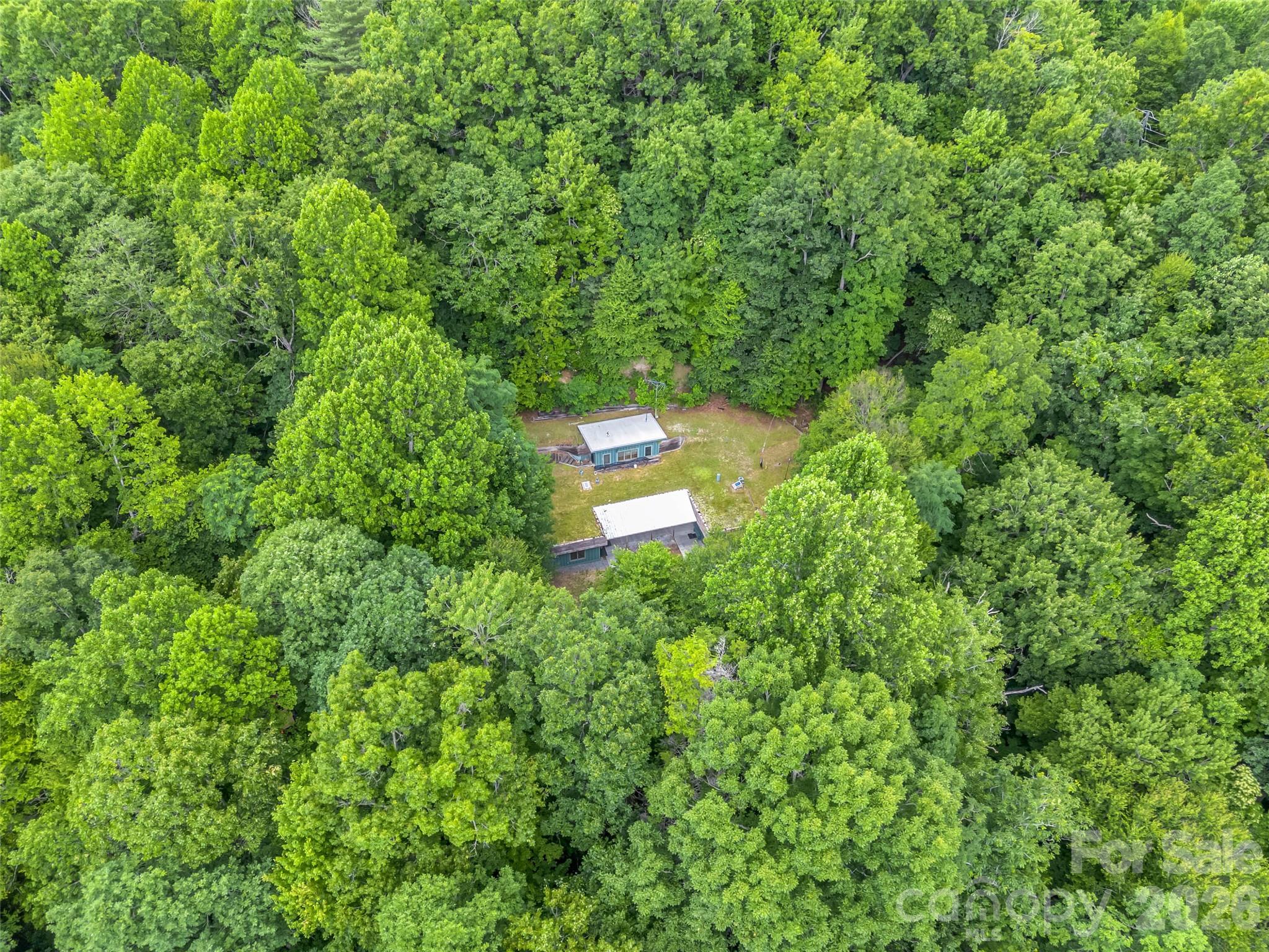 707 Cascade Trail — Pisgah Forest