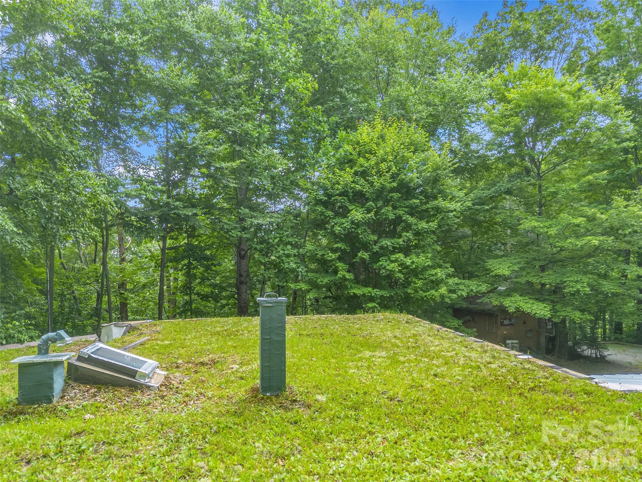 707 Cascade Trail — Pisgah Forest