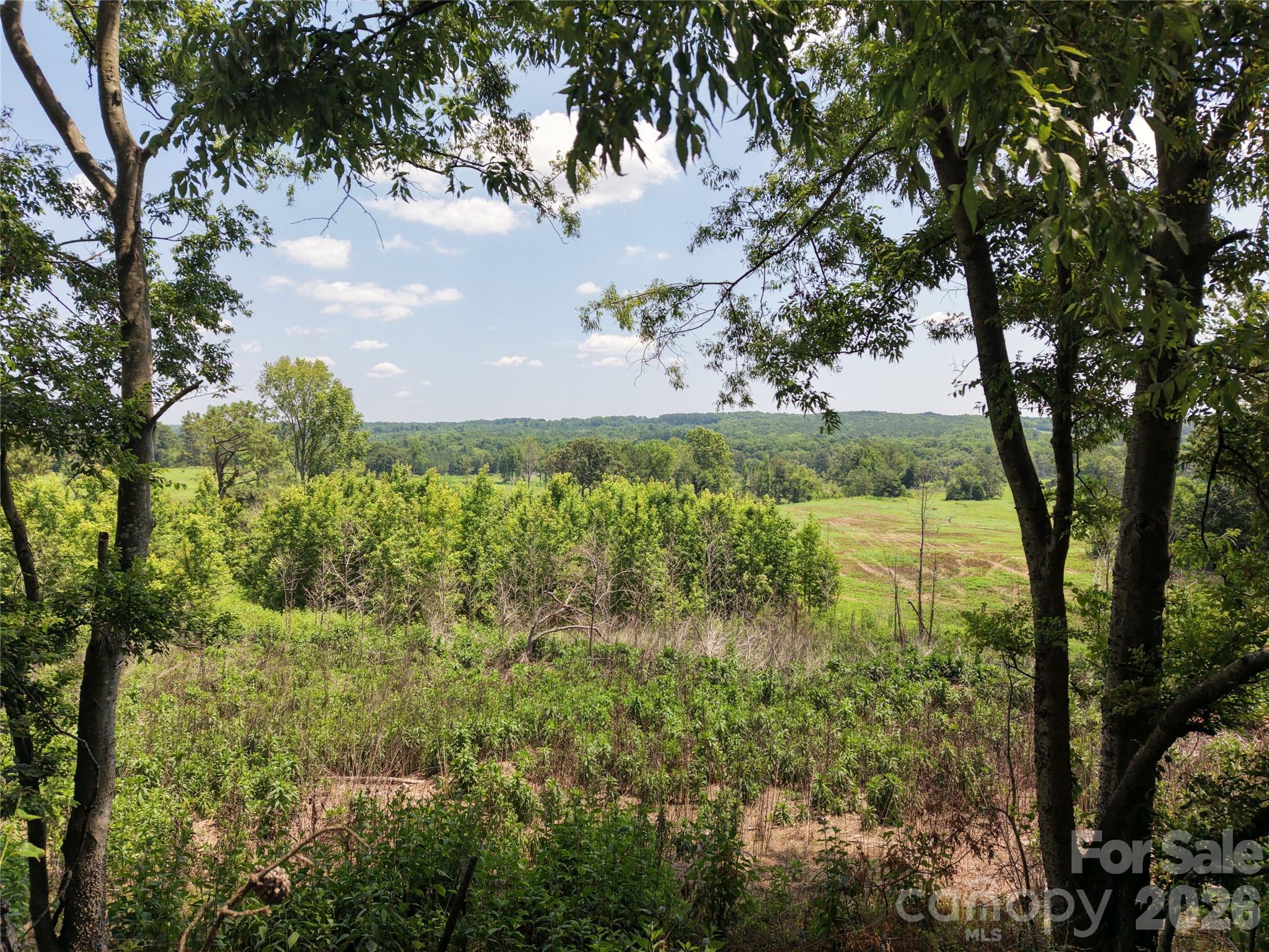 3853 COUNTRY CLUB Road — Wadesboro