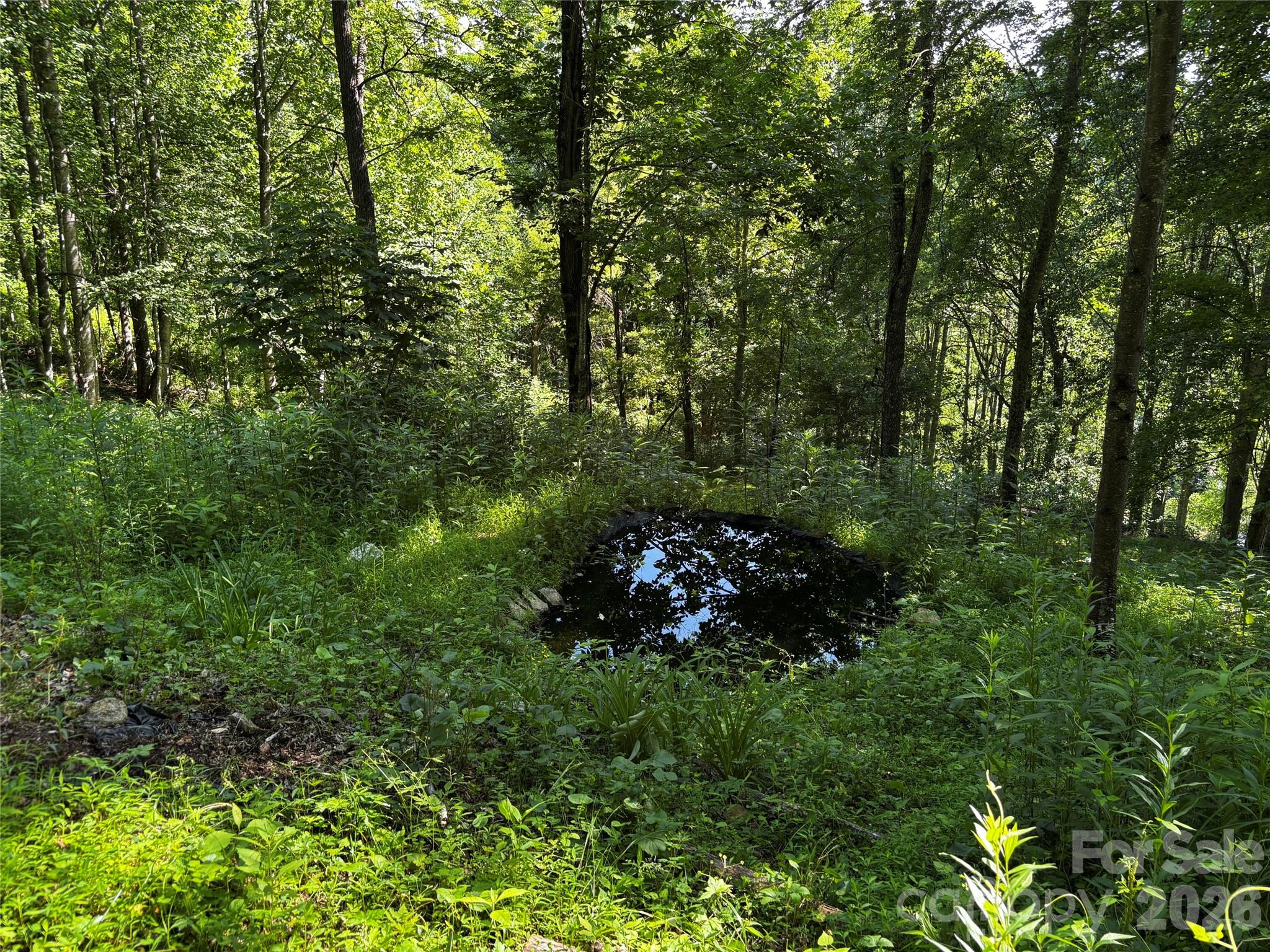 2879 Chandler Creek Road — Mars Hill