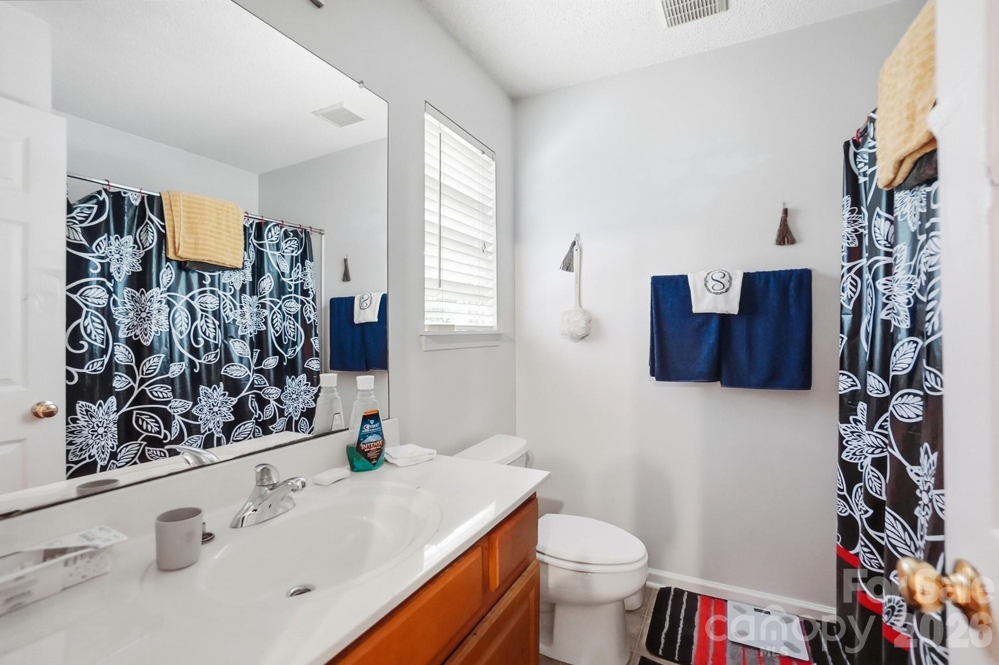 10618 Pointed Leaf Court — Charlotte