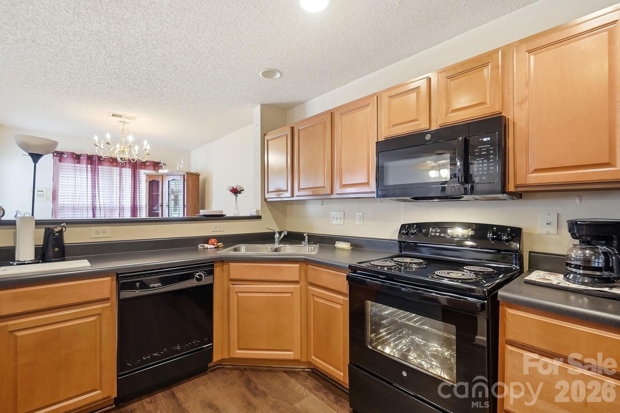 10618 Pointed Leaf Court — Charlotte