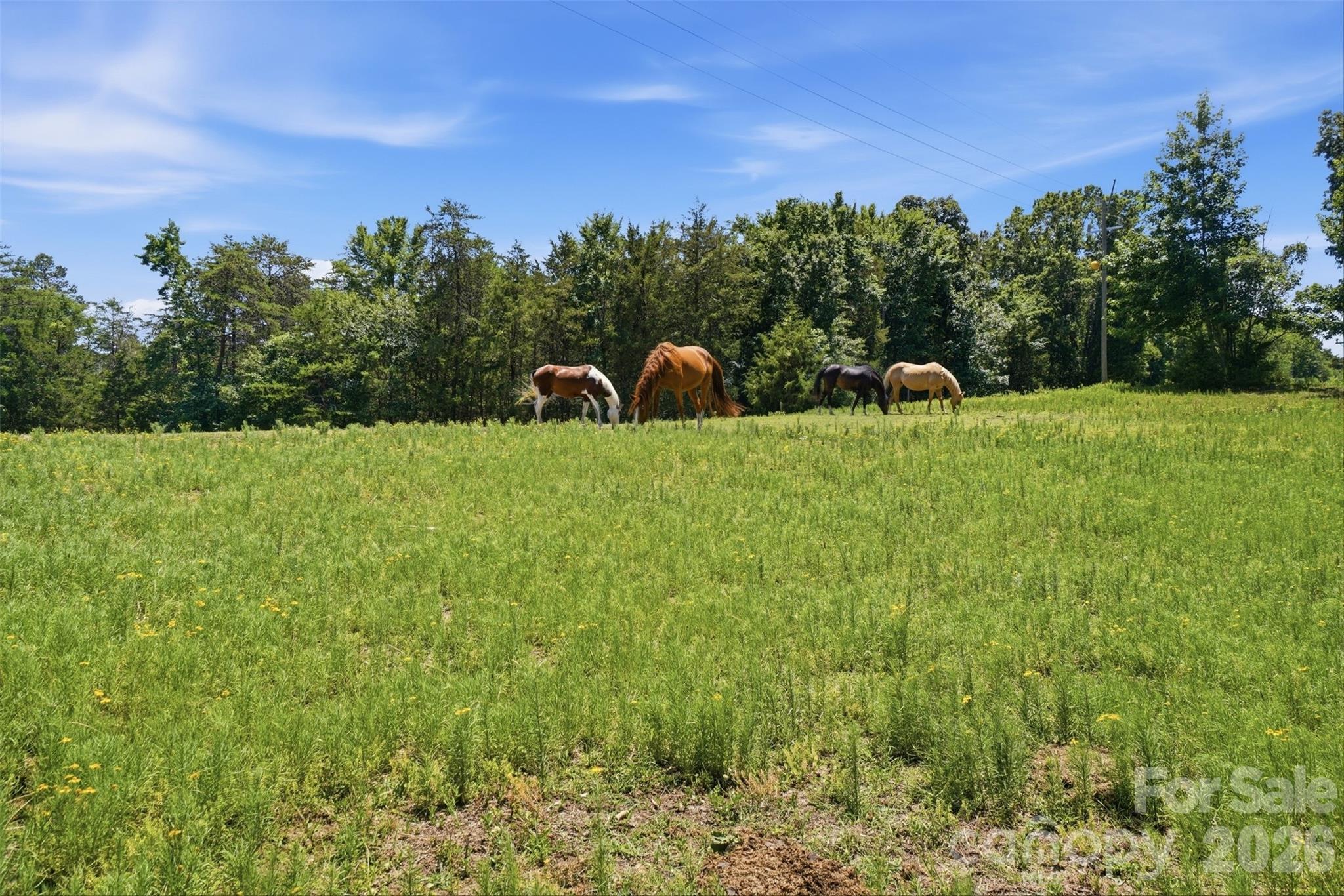 5835 Kreps Road — Clover