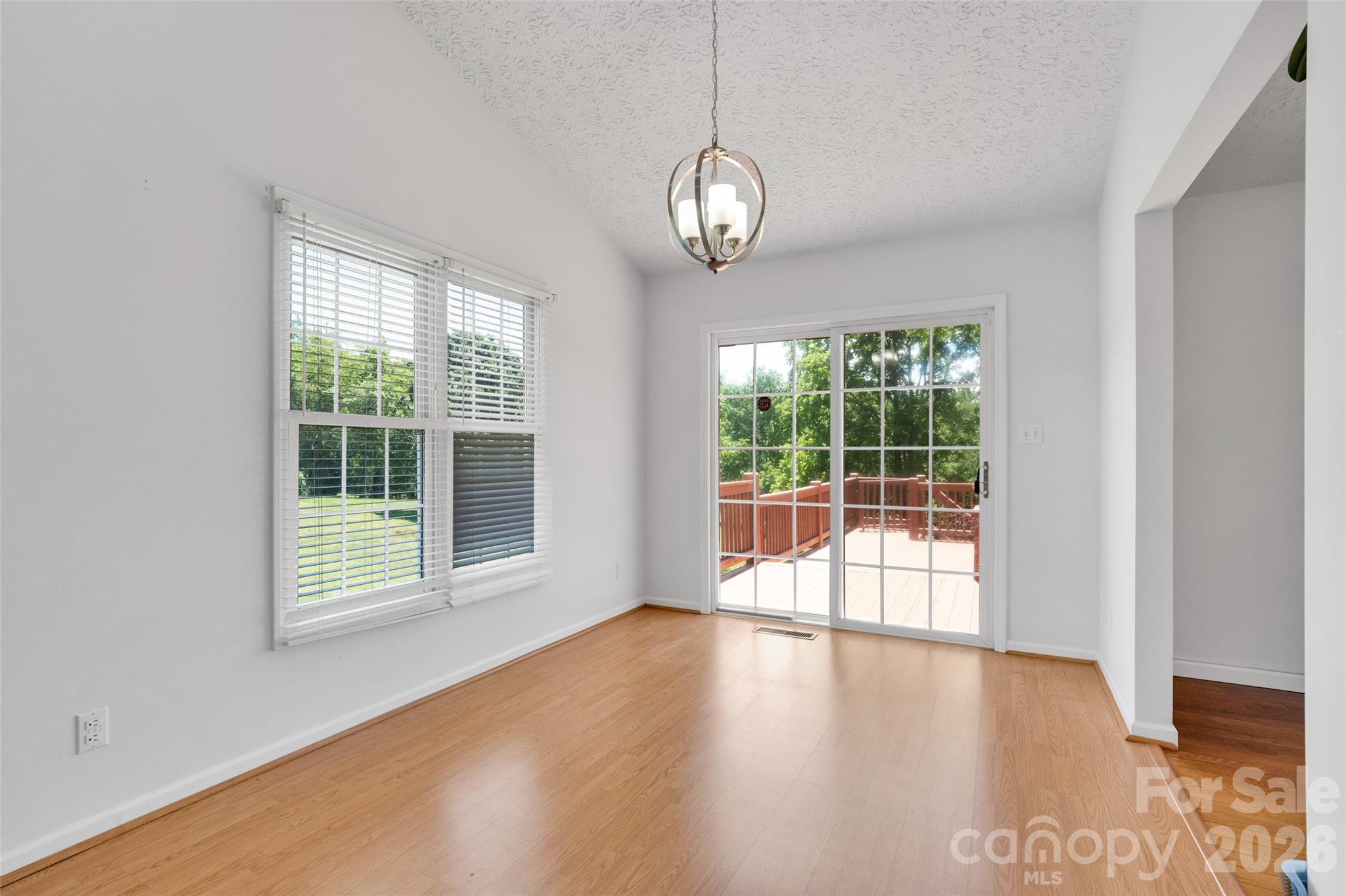 117 Caldonia Drive — Candler