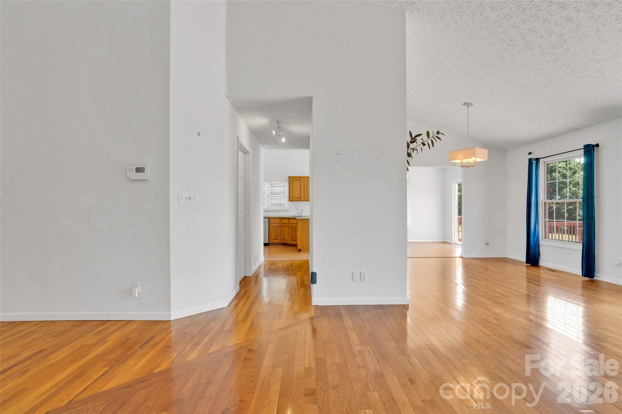 117 Caldonia Drive — Candler