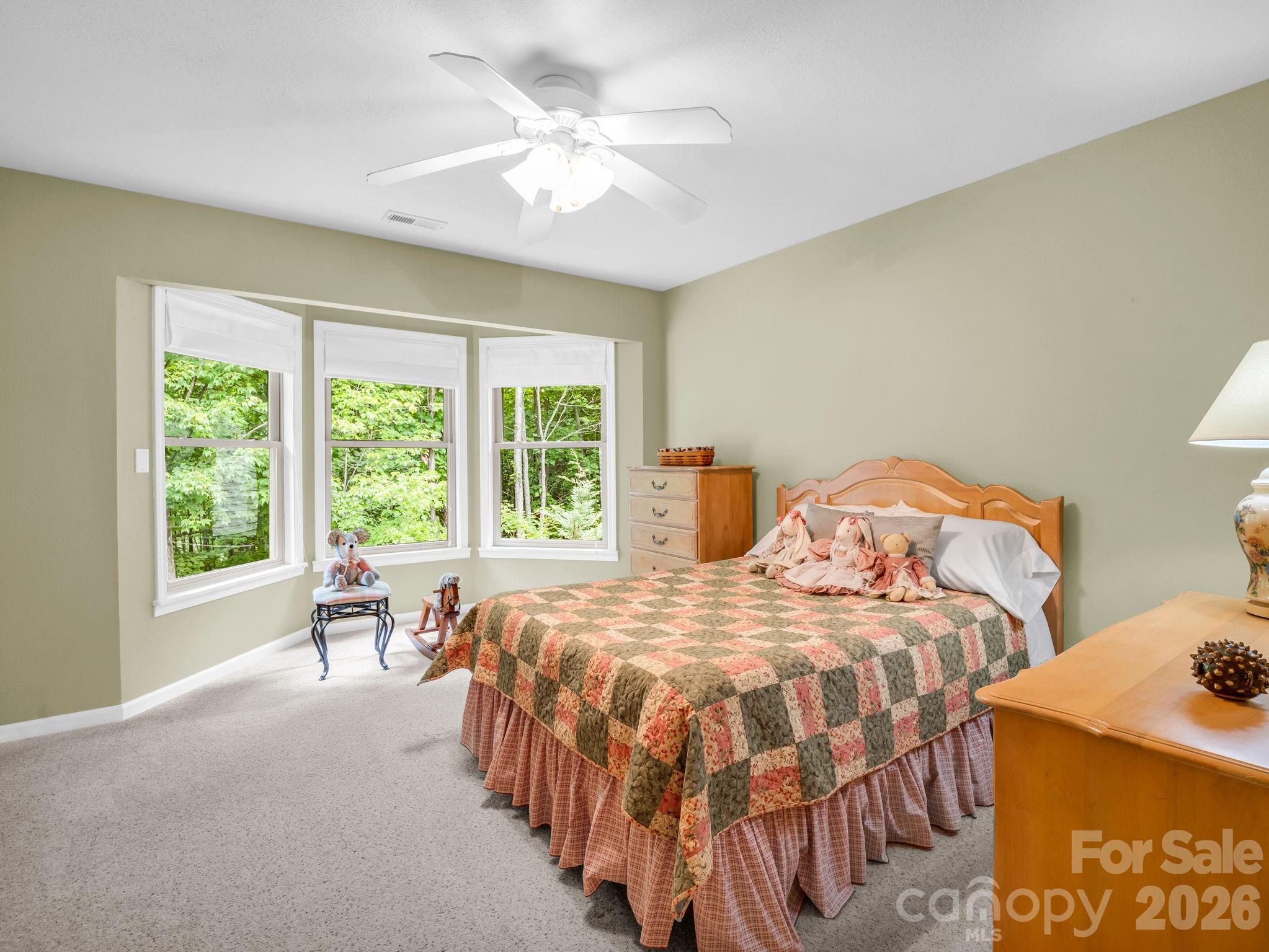 131 Arcadia Falls Way — Black Mountain