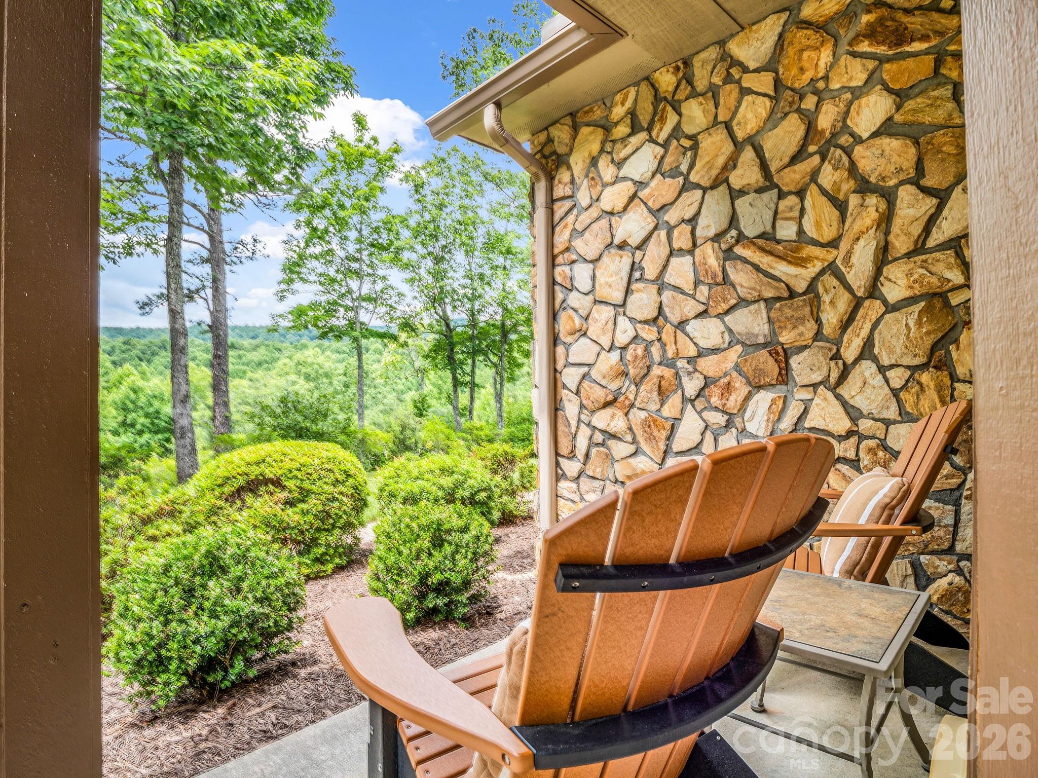 131 Arcadia Falls Way — Black Mountain