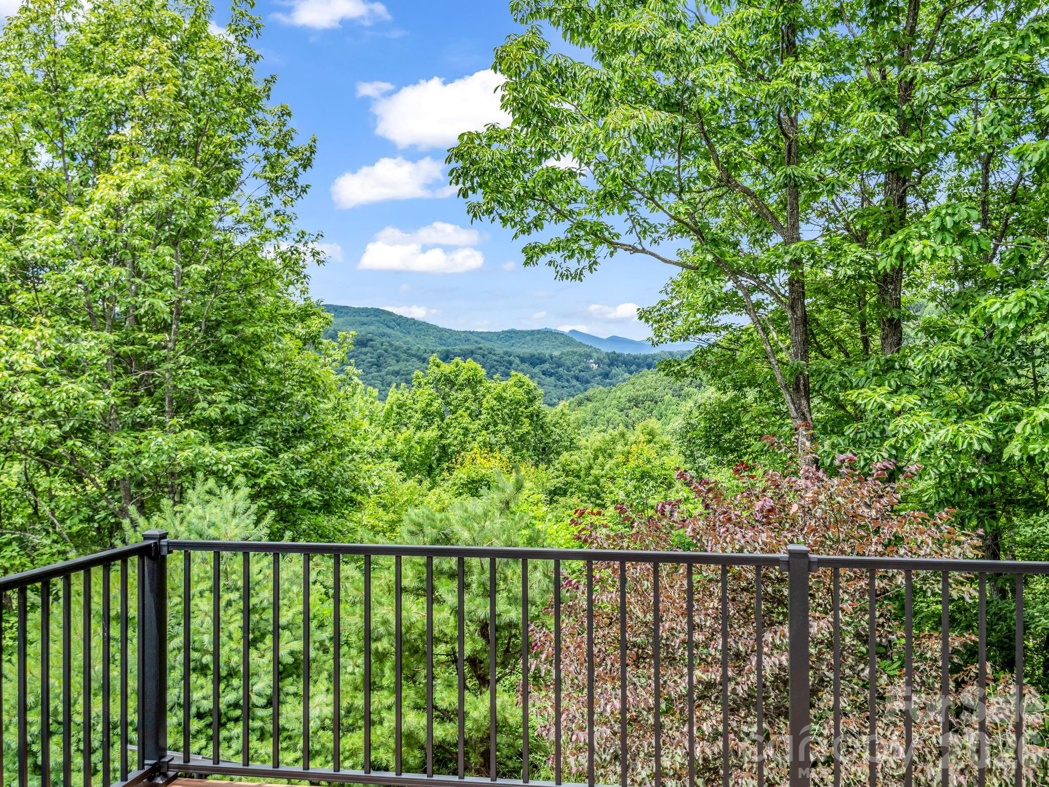 131 Arcadia Falls Way — Black Mountain
