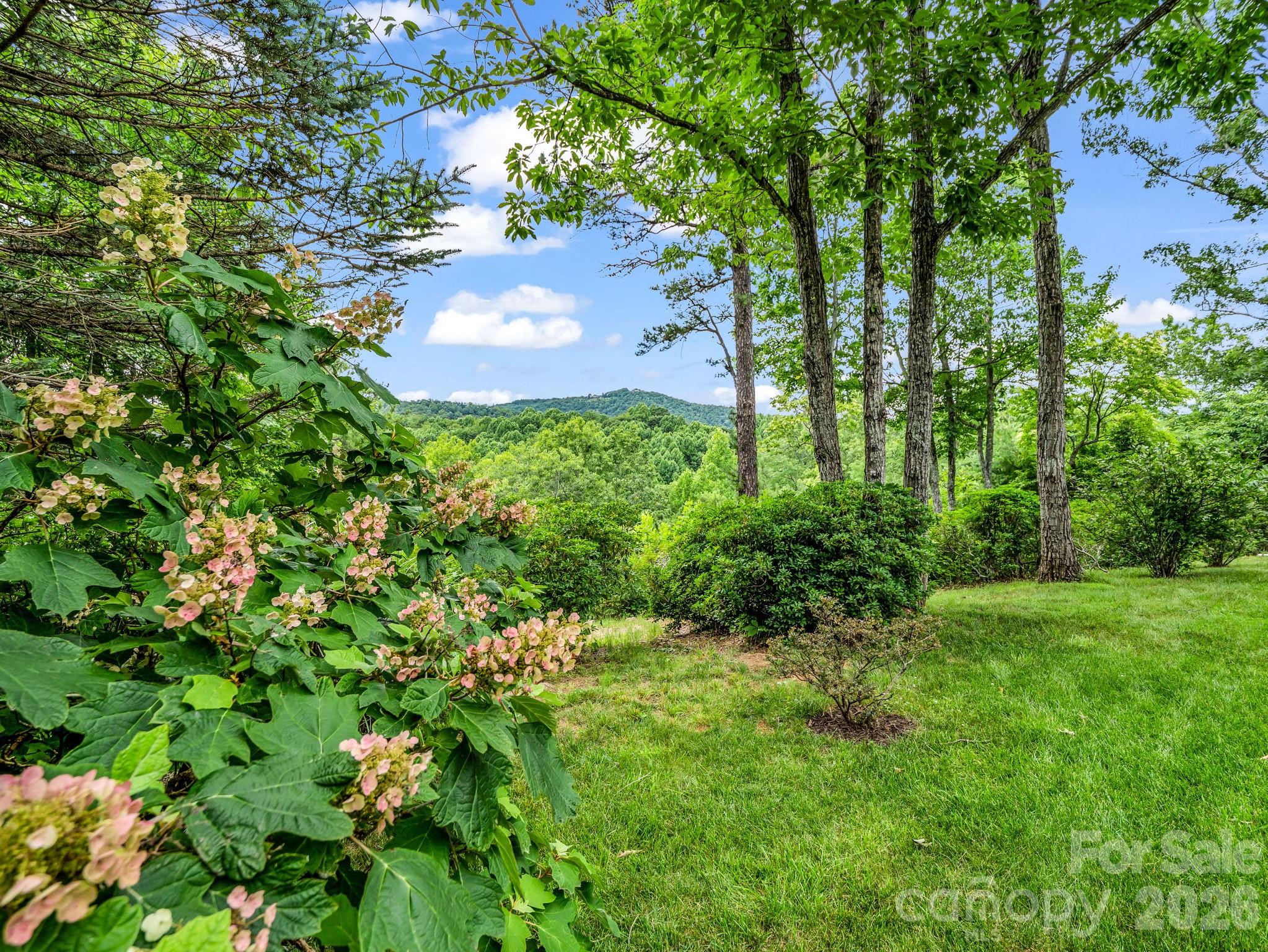 131 Arcadia Falls Way — Black Mountain