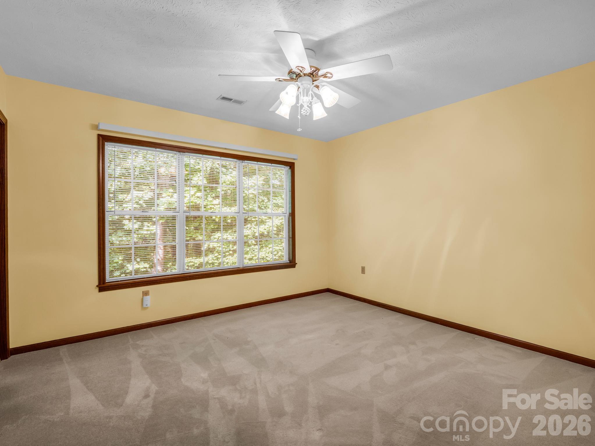 341 Laurel Park Place — Hendersonville