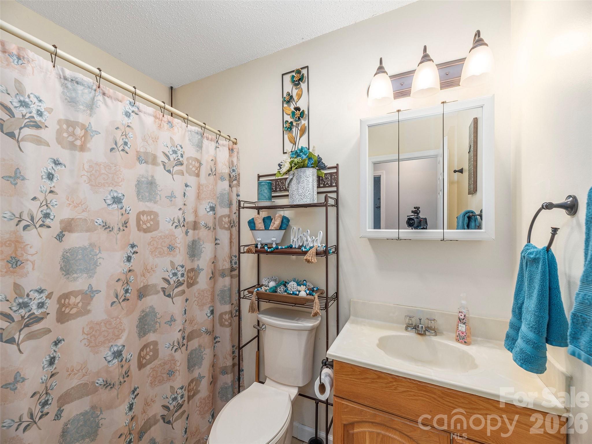 219 Hookers Gap Road — Candler