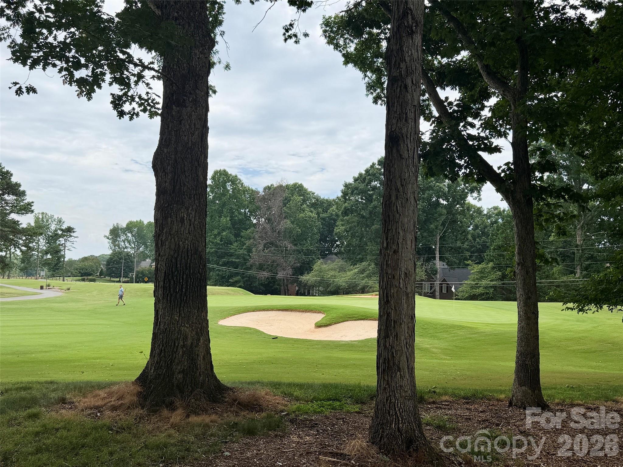 4123 Fairway Downs Court — Charlotte