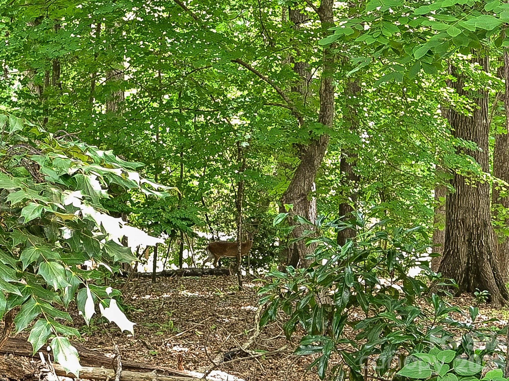 4737 Rounding Run Road — Charlotte