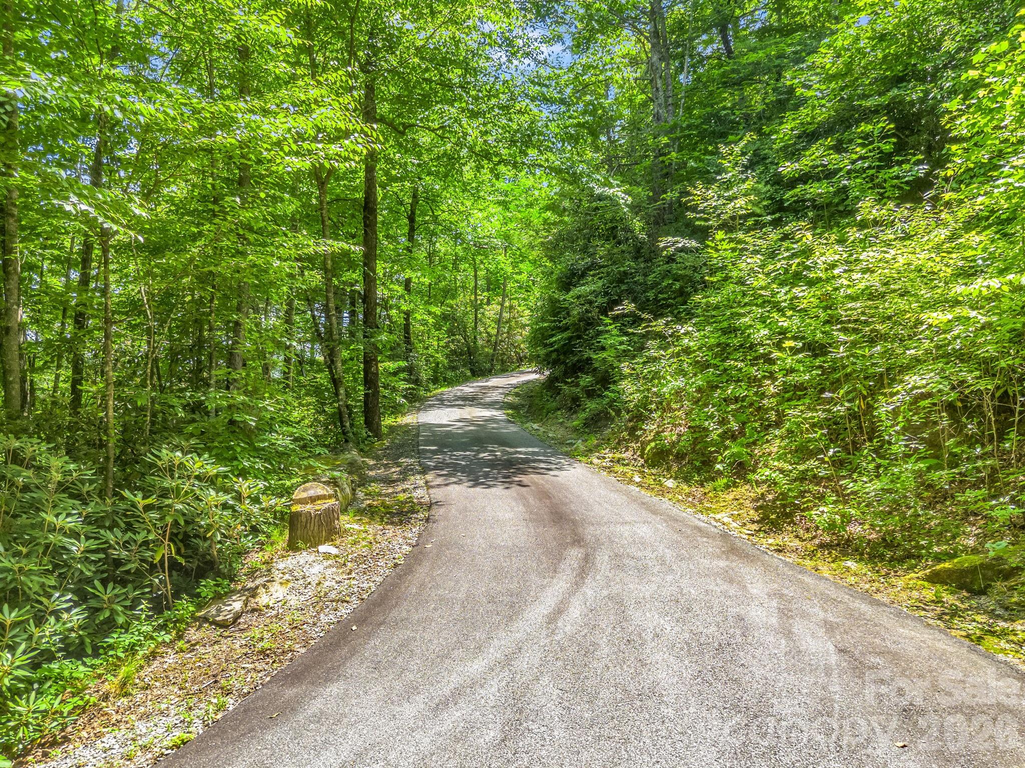 39 Lambert Lane — Black Mountain