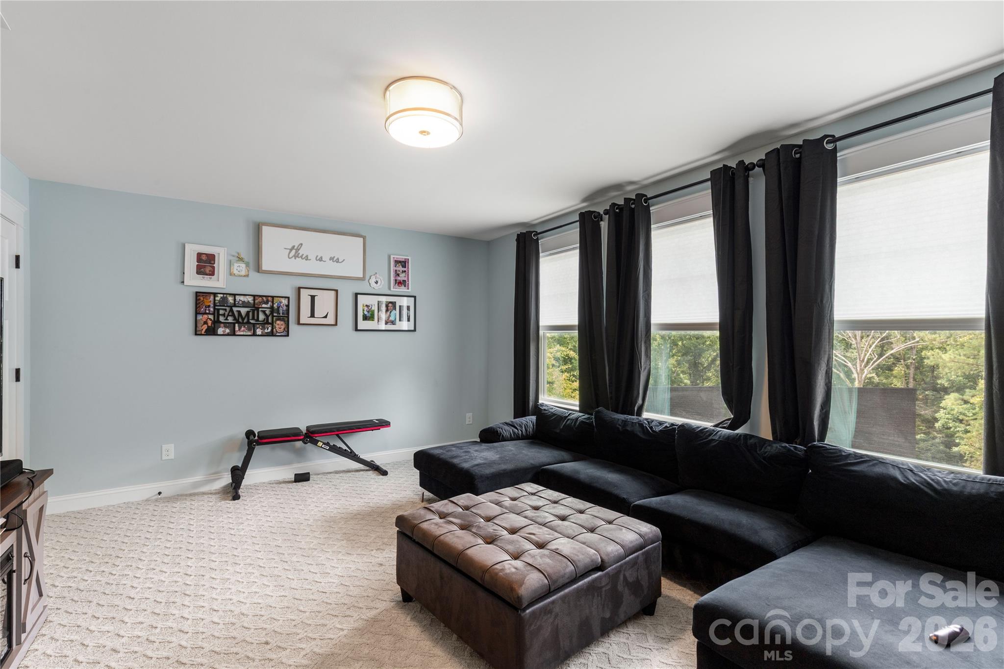 378 Squirrel Lane — Clover