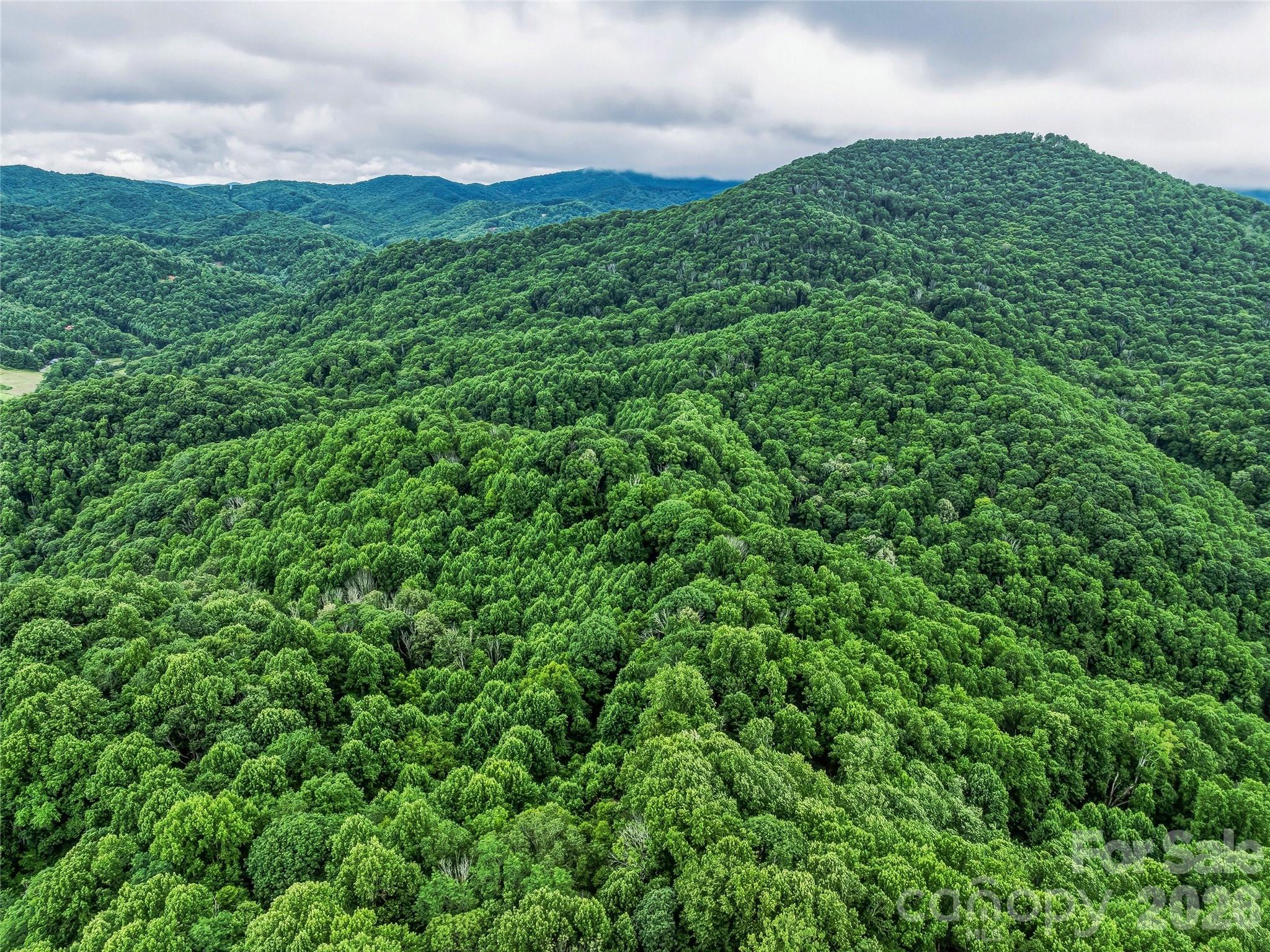961 Wilson Branch Road — Mars Hill