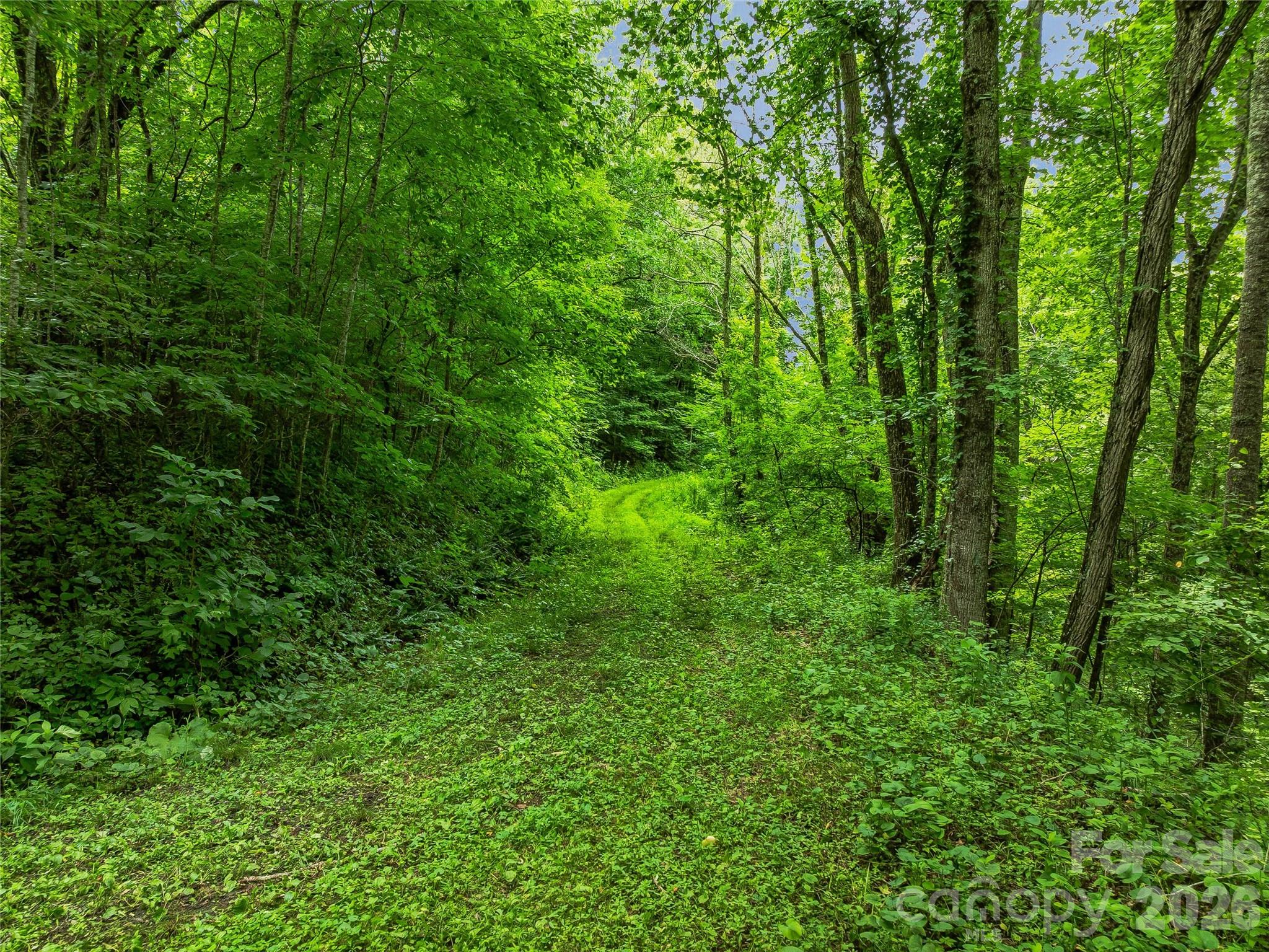 961 Wilson Branch Road — Mars Hill