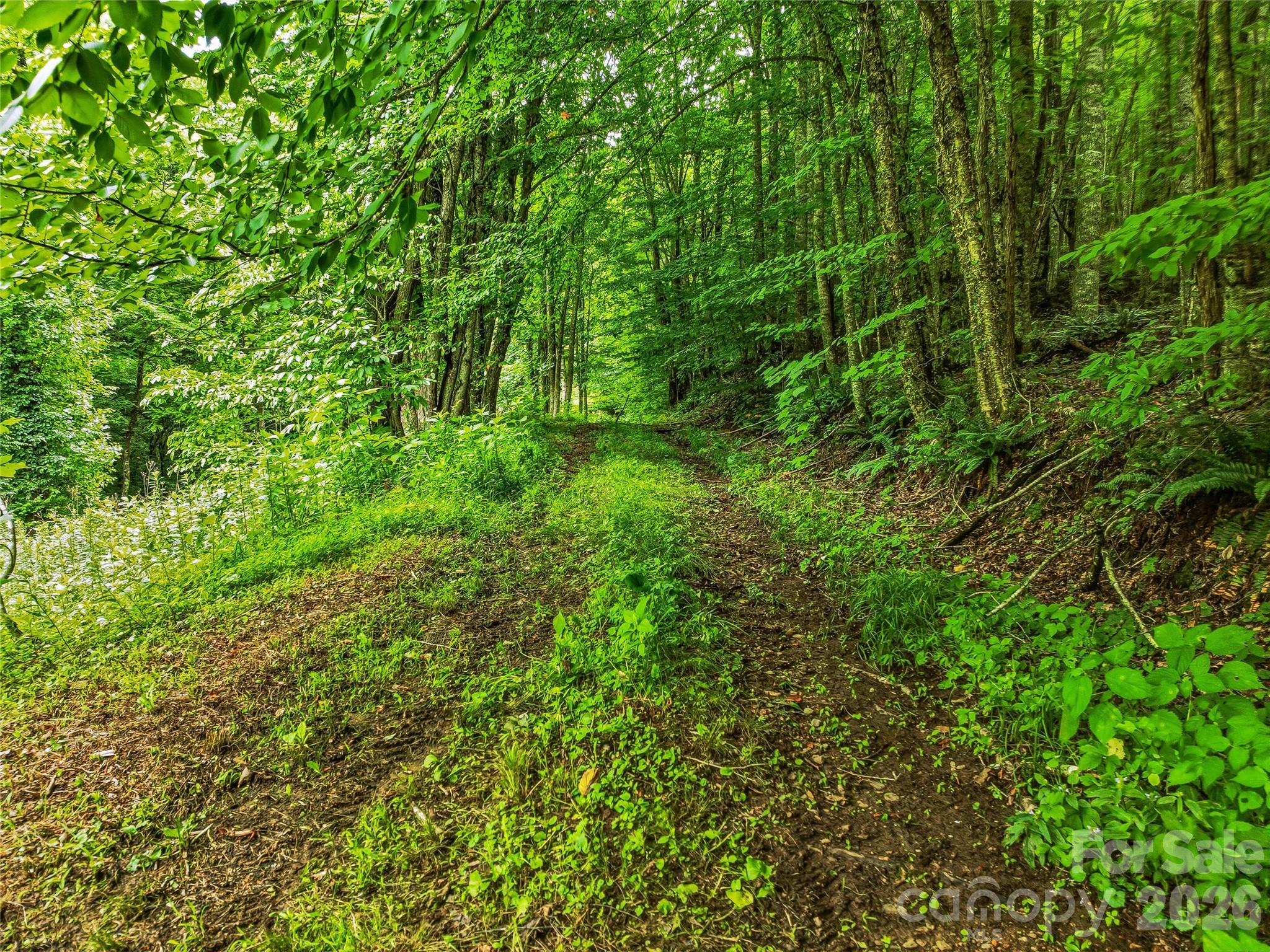 961 Wilson Branch Road — Mars Hill
