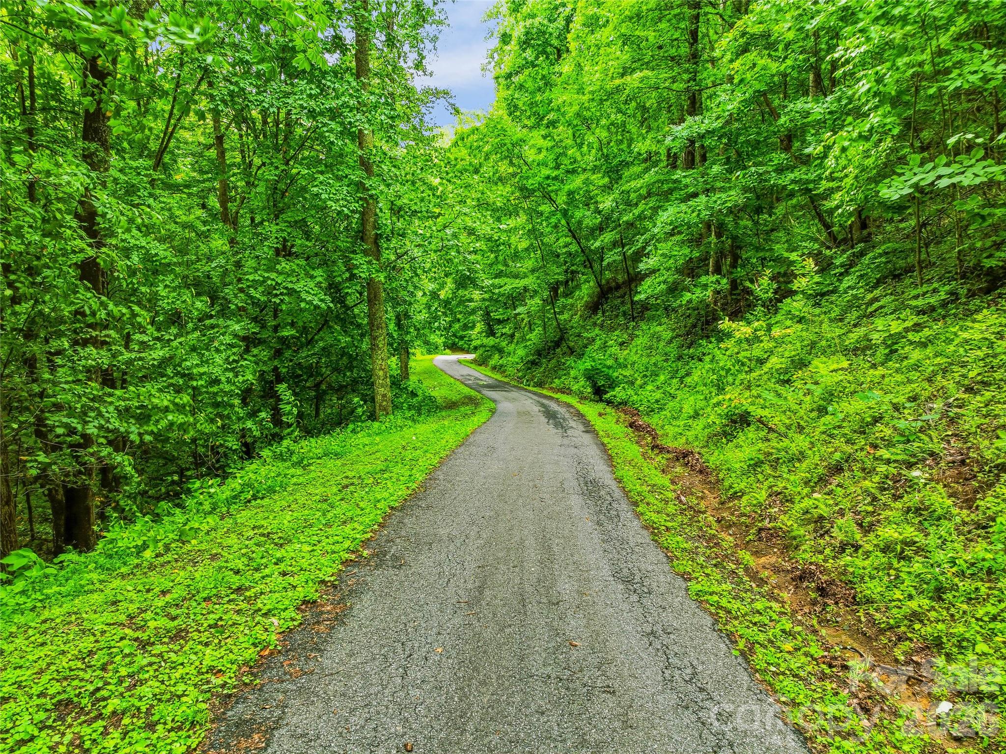 961 Wilson Branch Road — Mars Hill