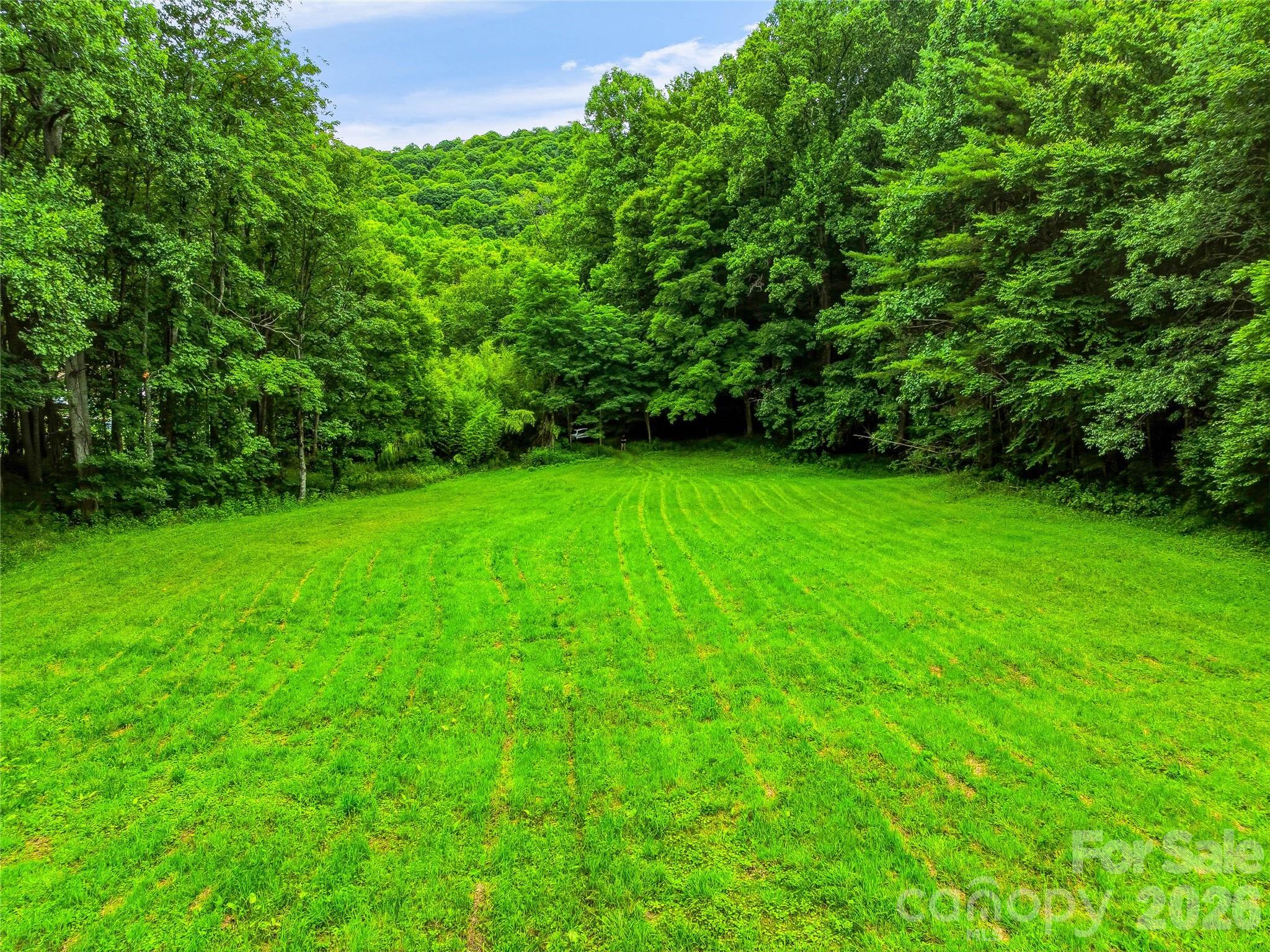961 Wilson Branch Road — Mars Hill