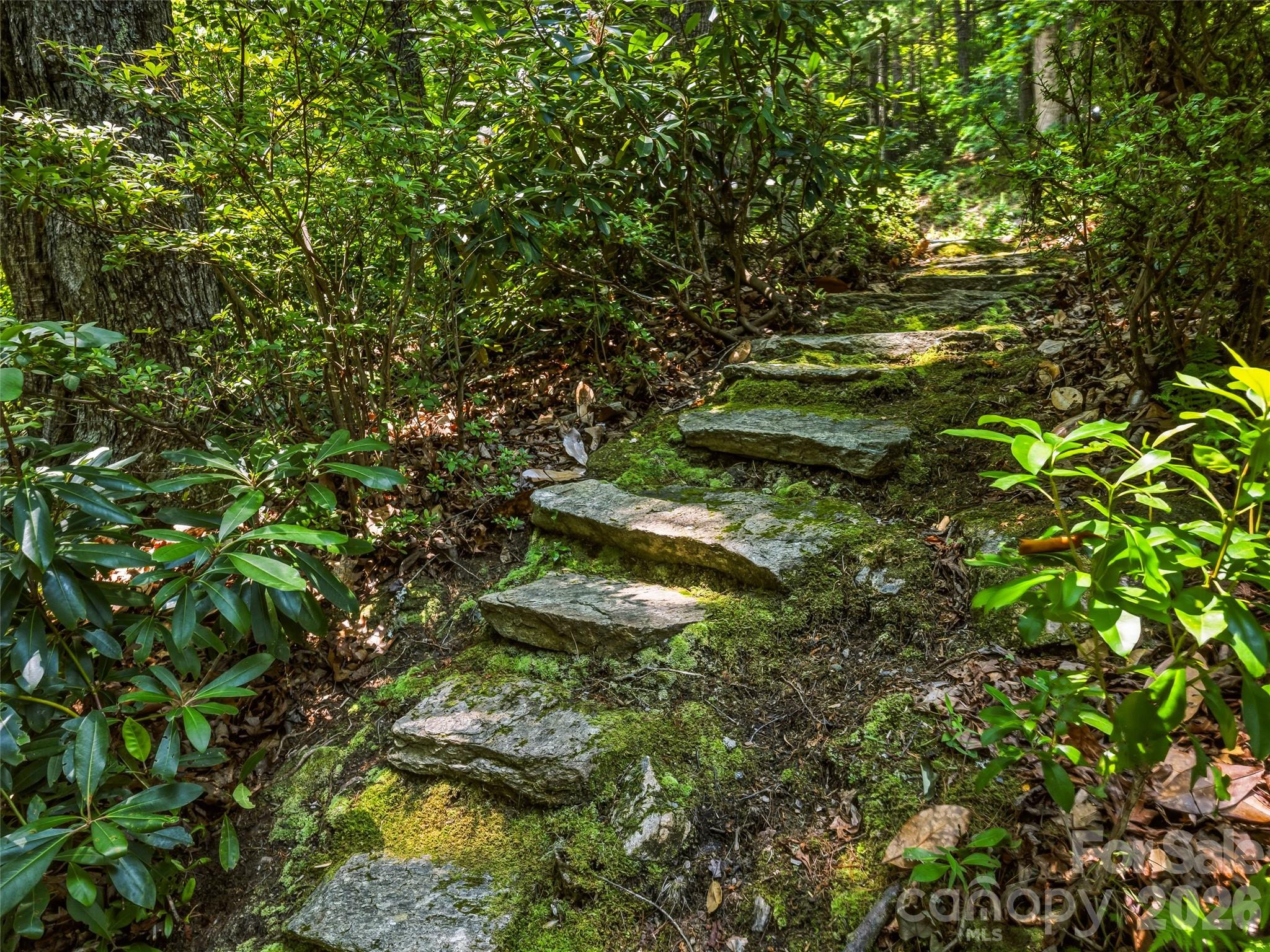 785 Pisgah Forest Drive — Pisgah Forest