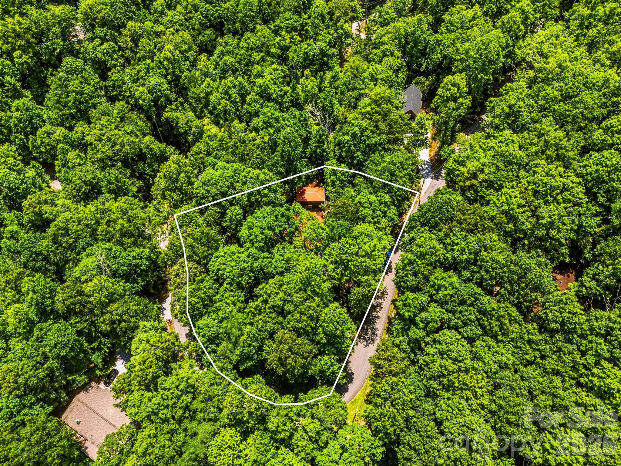 785 Pisgah Forest Drive — Pisgah Forest
