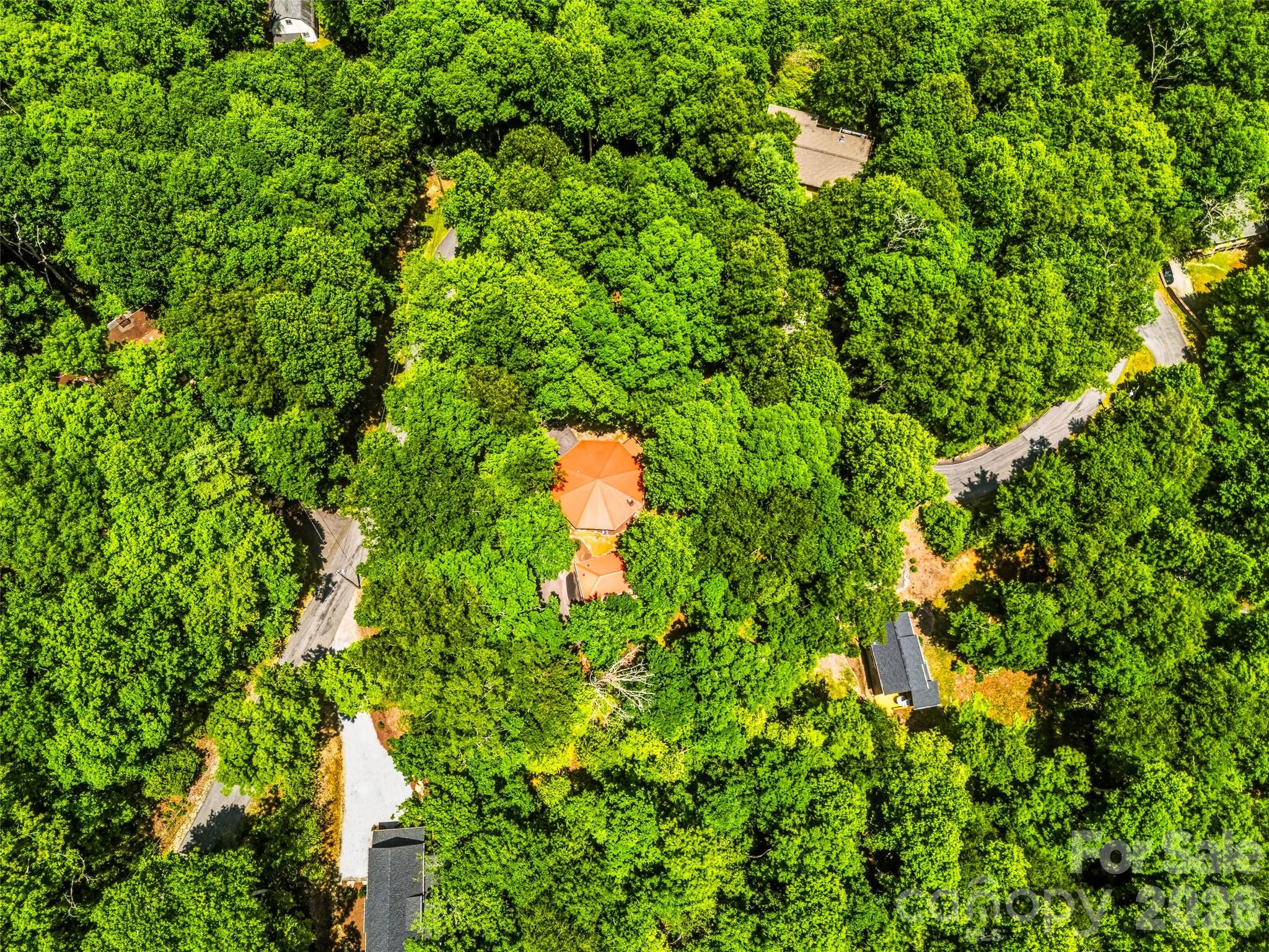 785 Pisgah Forest Drive — Pisgah Forest