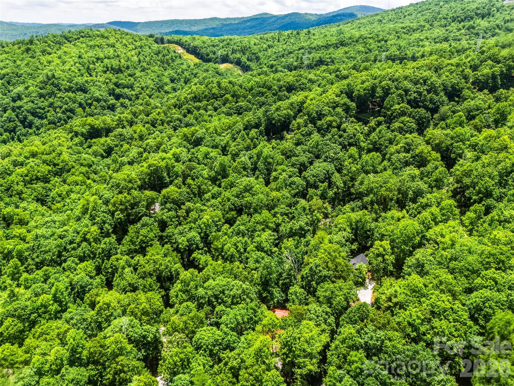 785 Pisgah Forest Drive — Pisgah Forest